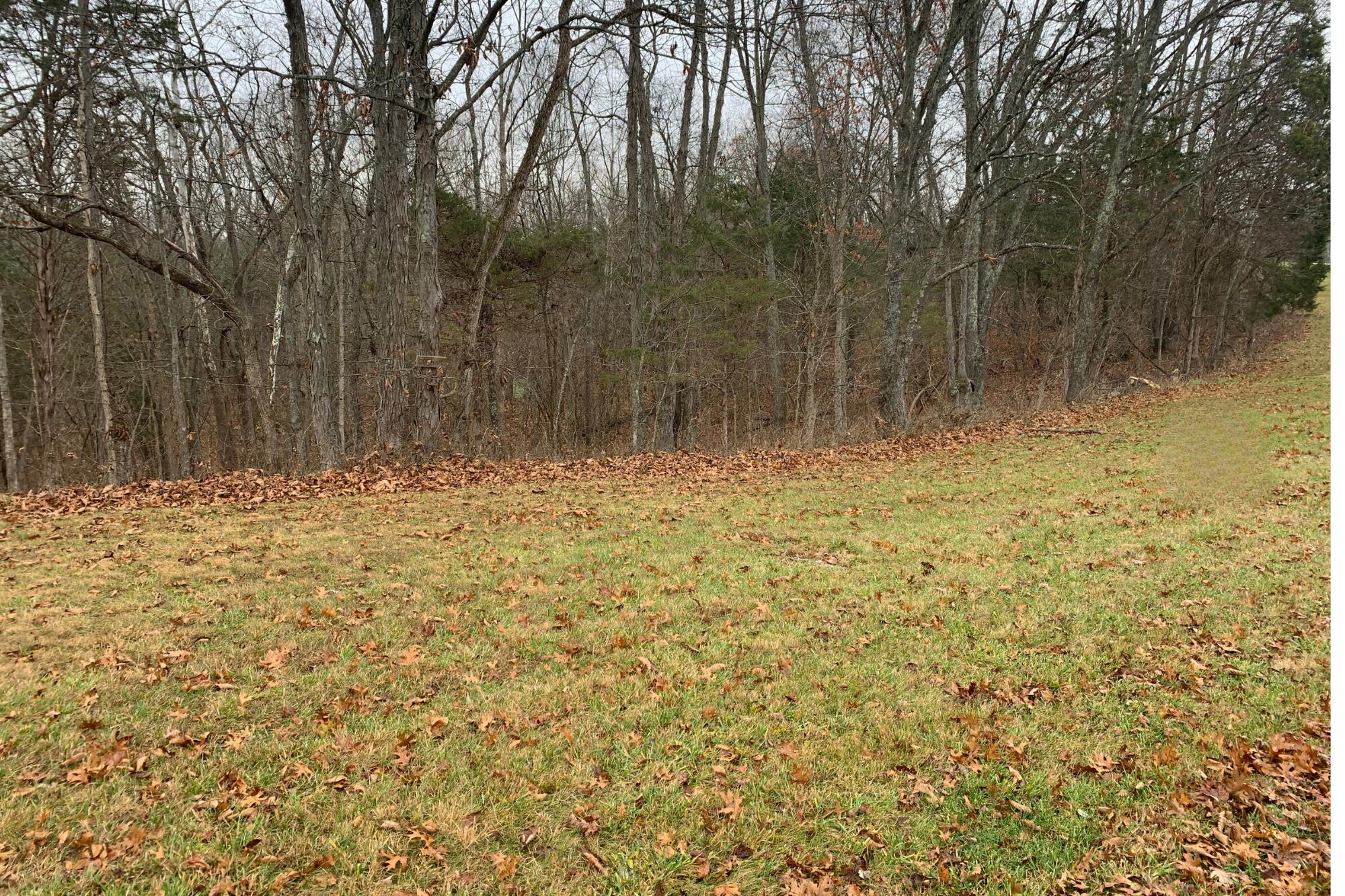 245 Eagle Creek Trail Property Photo 1
