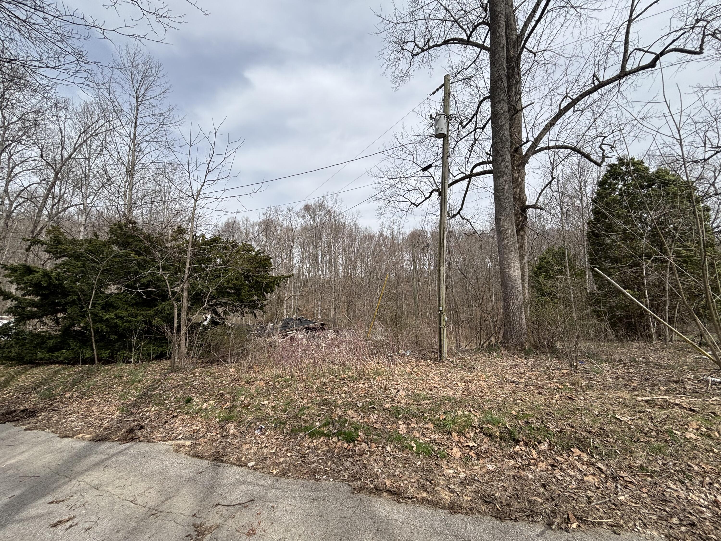 495 Clear Fork Branch Road Property Photo 1