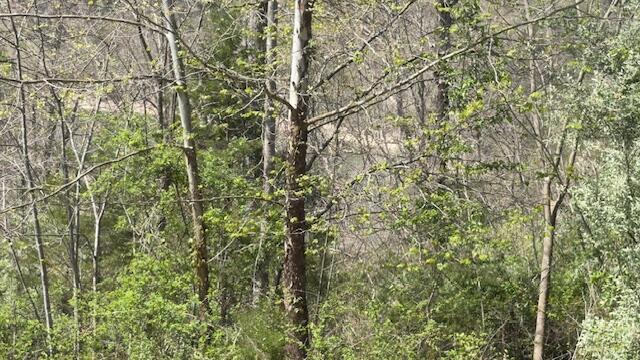 Indian Creek Road Property Photo 4