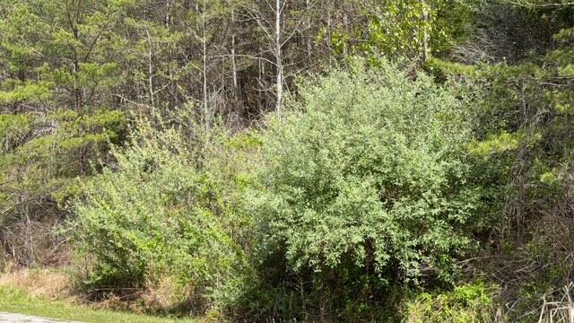 Indian Creek Road Property Photo 6