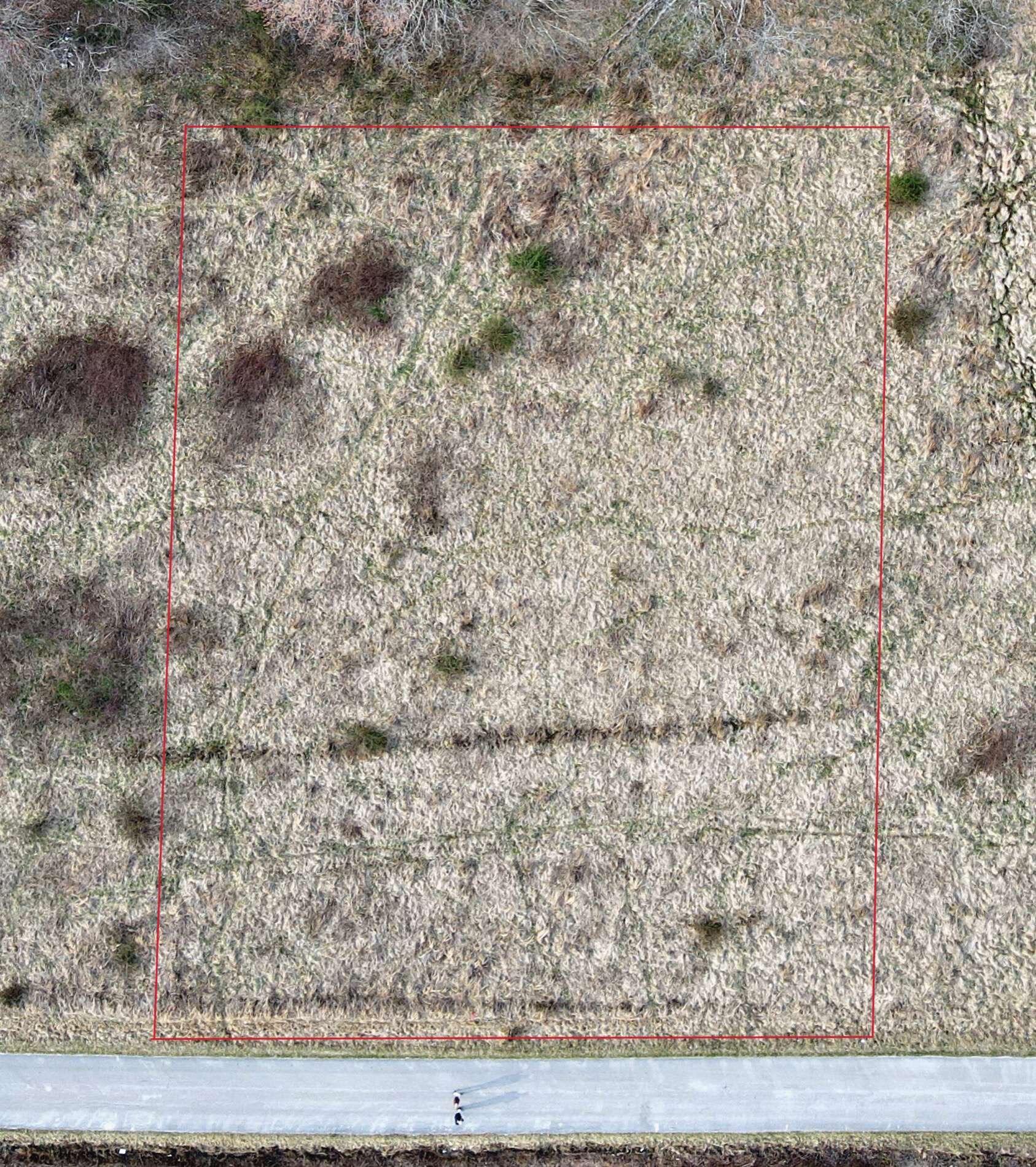9999 Tract 2 Flatwoods School Road Property Photo 1