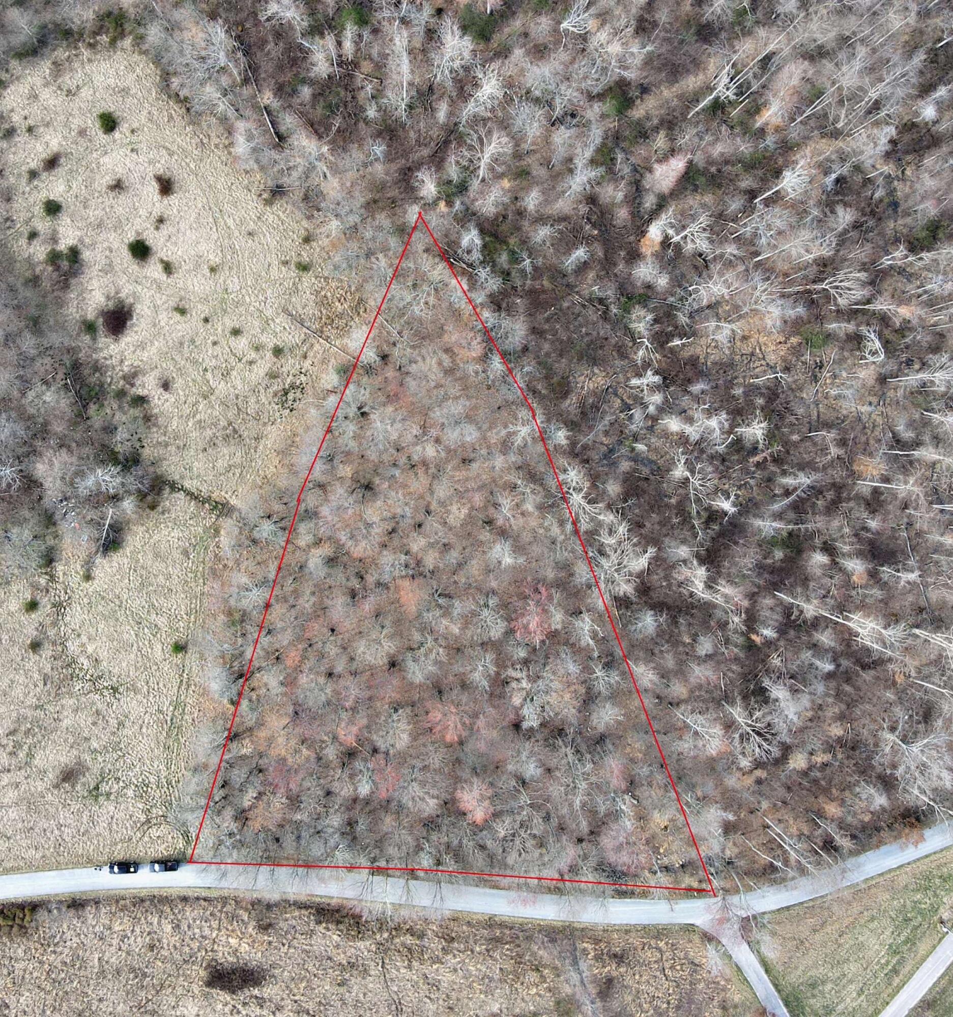 9999 Tract 4 Flatwoods School Road Property Photo 1