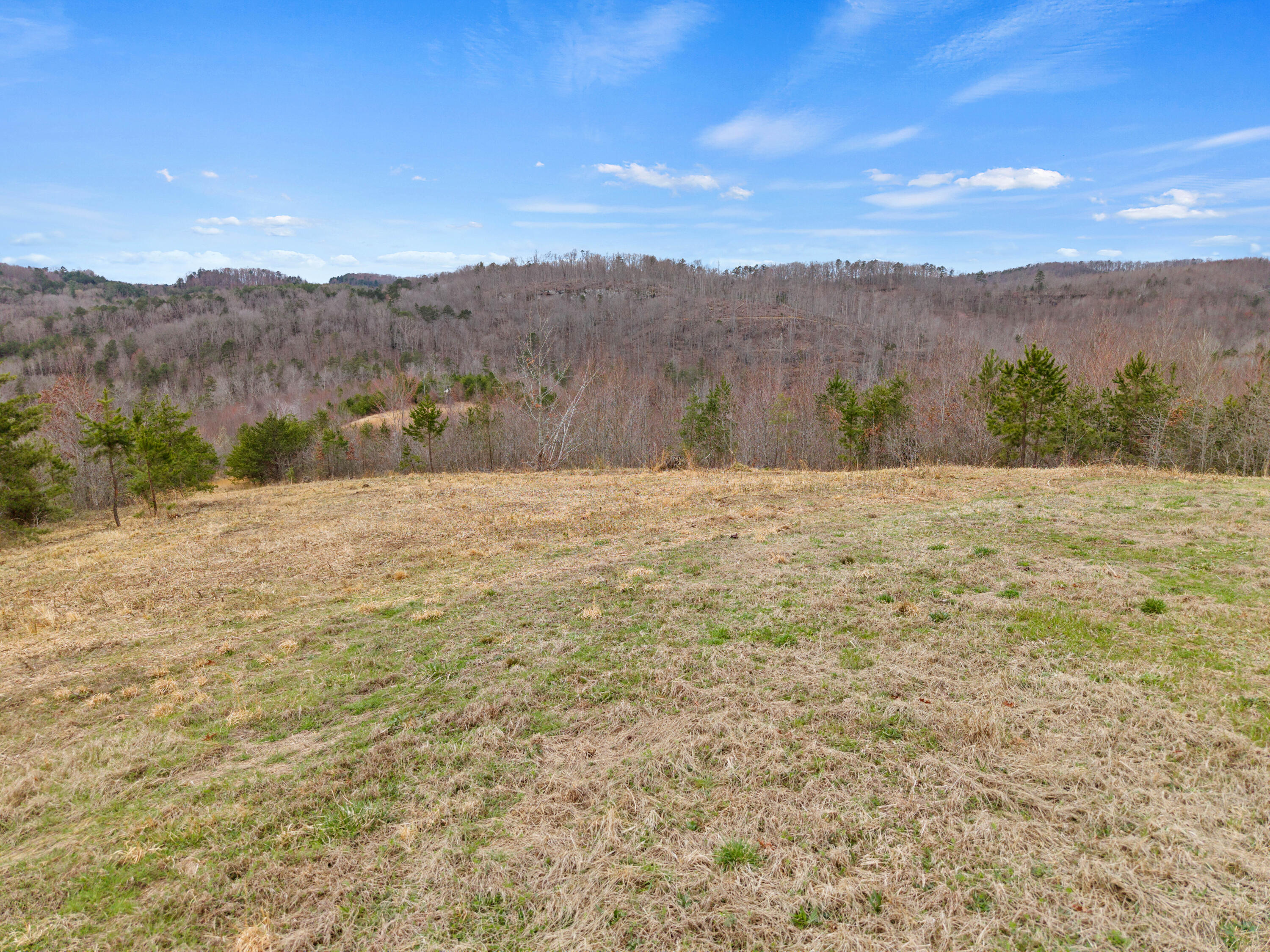 1125 West Adkins Arthur Road Property Photo 1