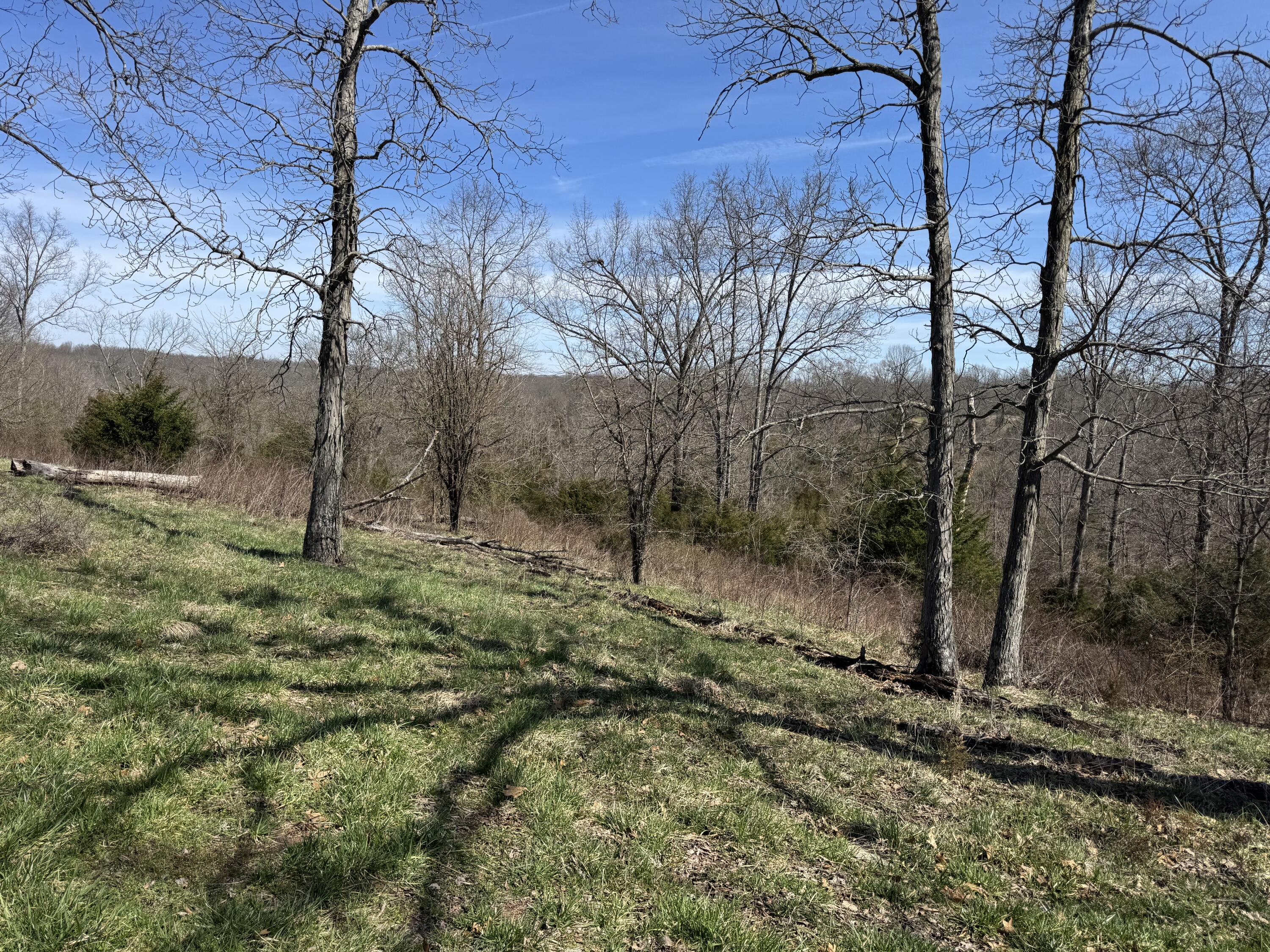 00000 Dixie Highway Property Photo 8