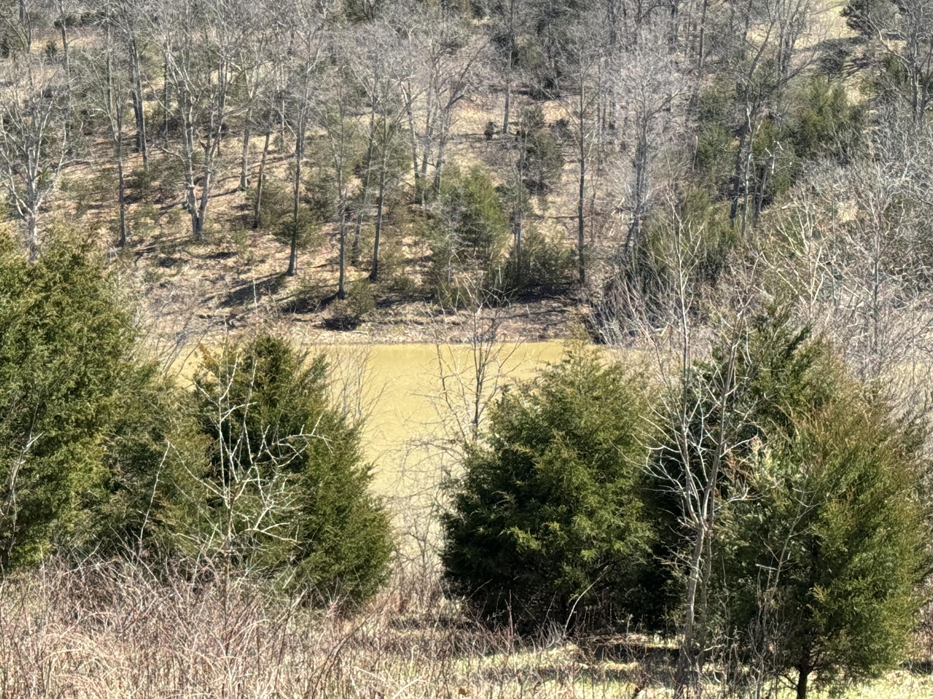 00000 Dixie Highway Property Photo 11