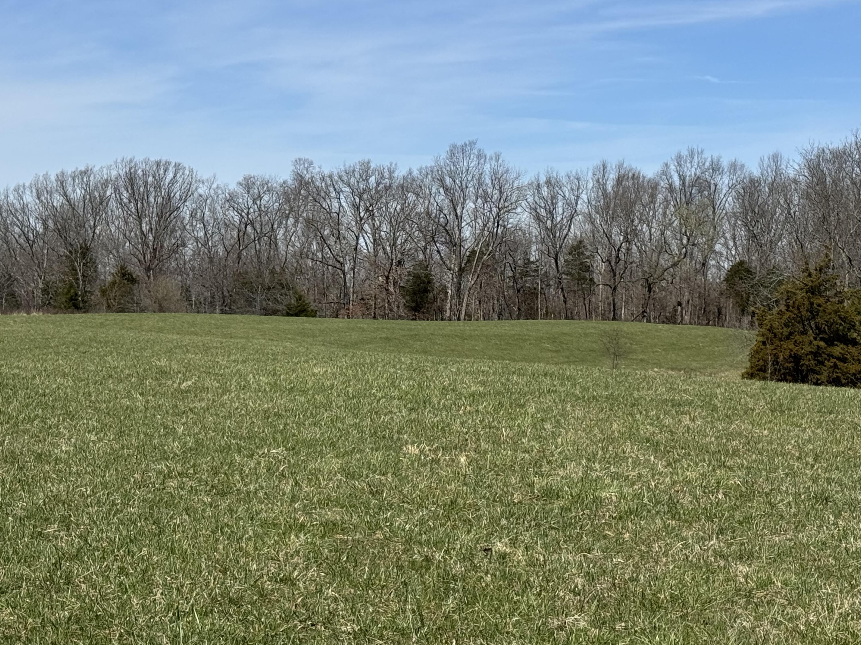 00000 Dixie Highway Property Photo 13