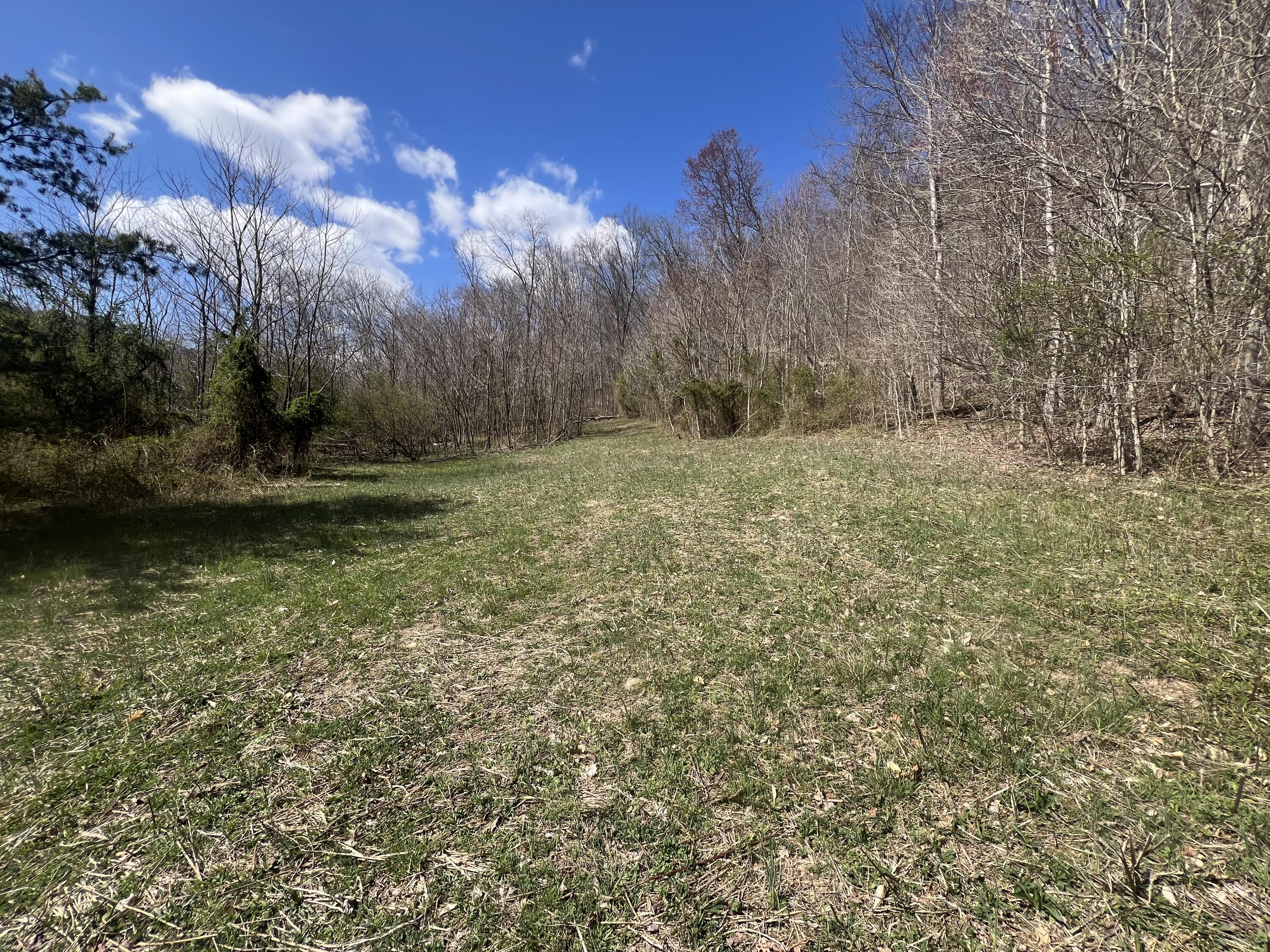 6480 Lower Licking Road Property Photo 1