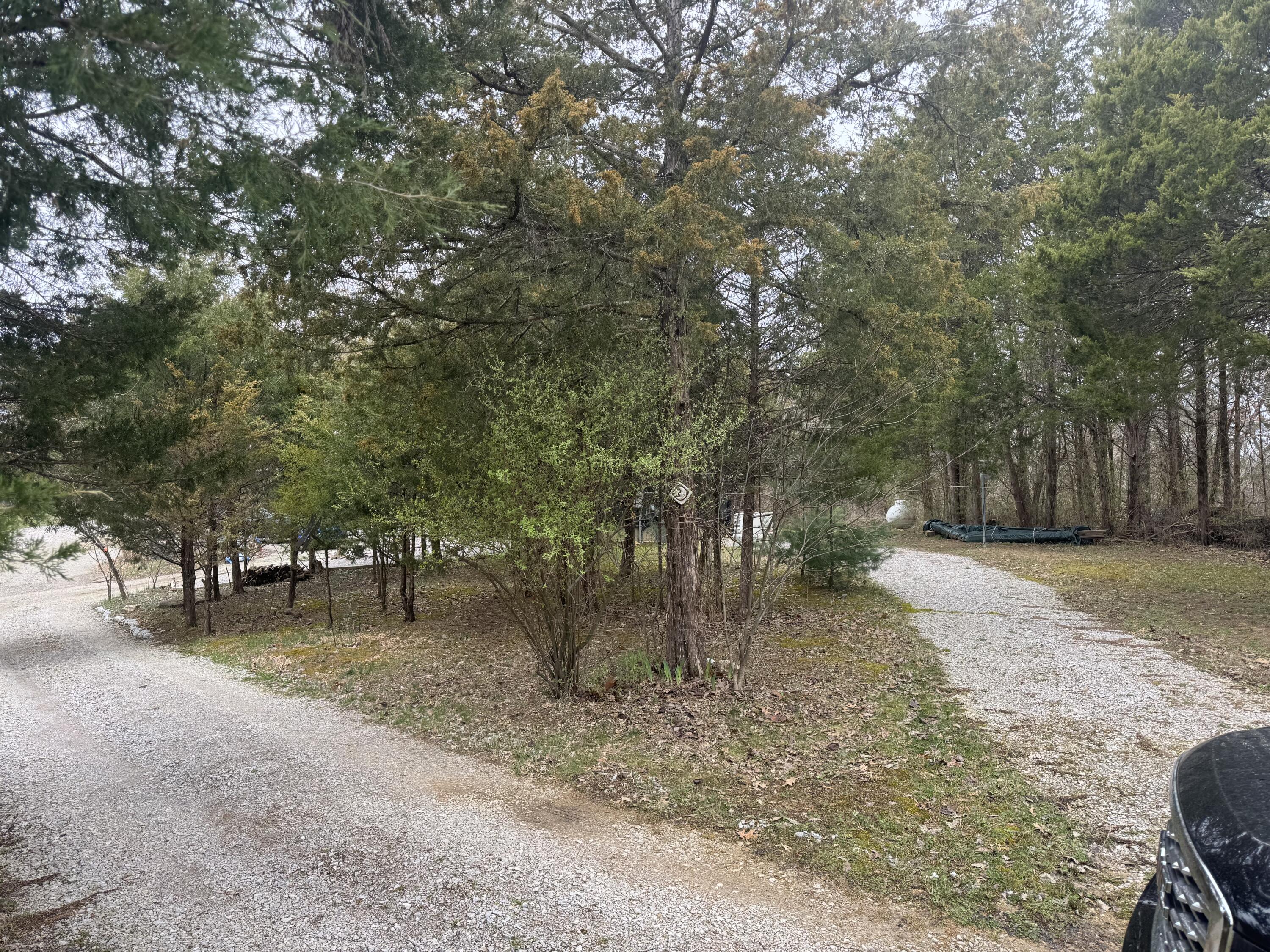 230 Stockton Road Property Photo 4