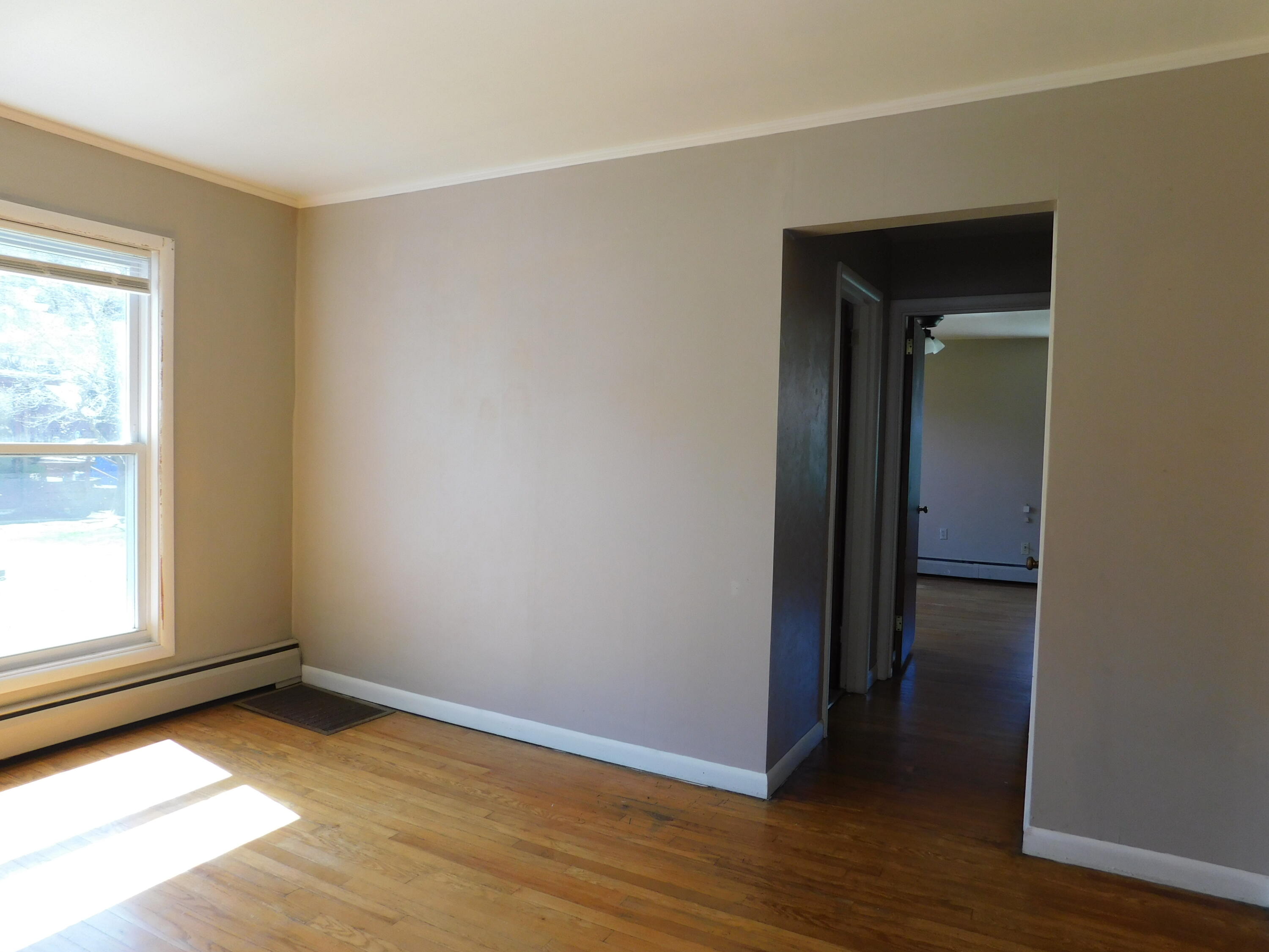 101 Dizney Property Photo 19