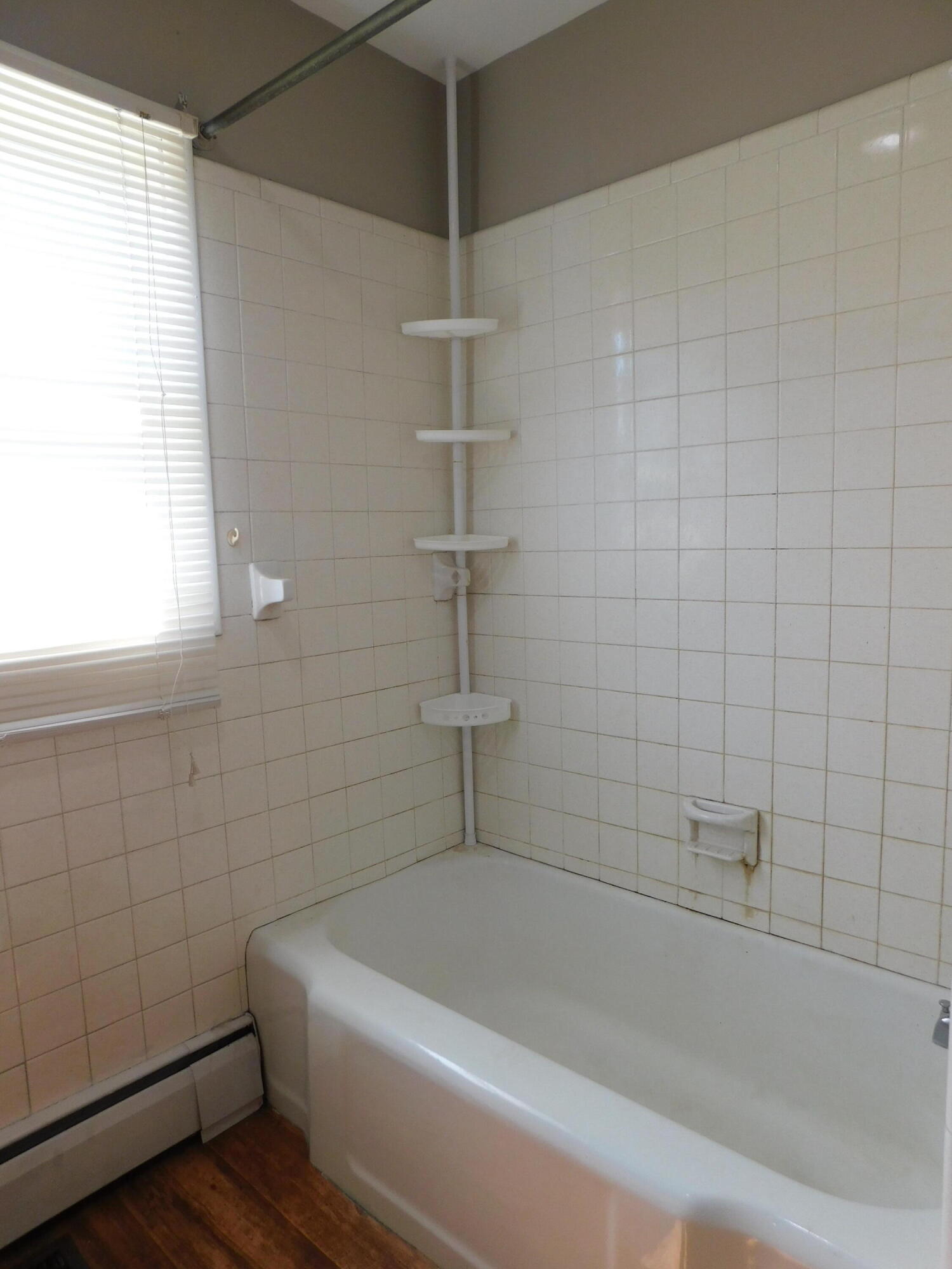 101 Dizney Property Photo 33
