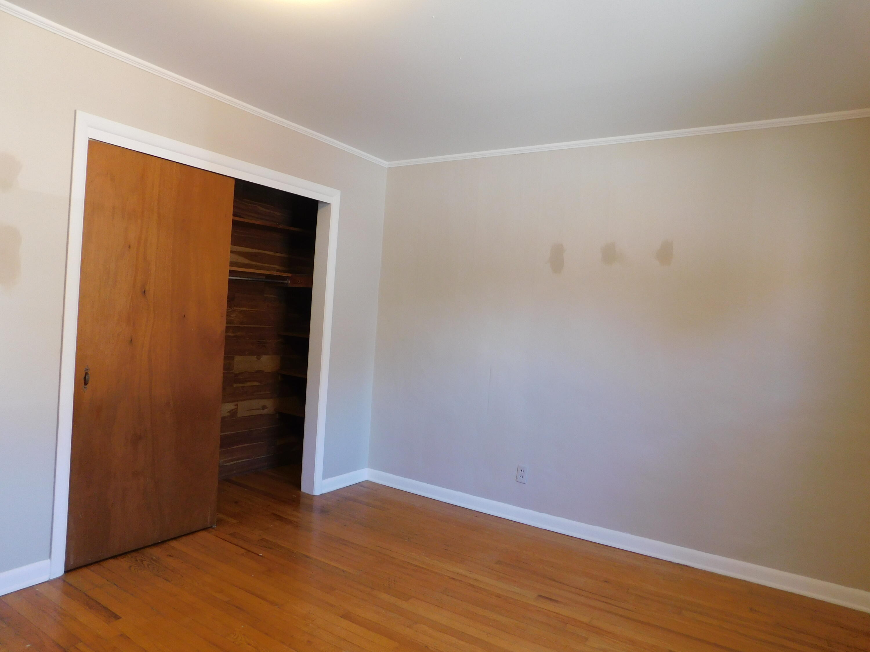 101 Dizney Property Photo 44