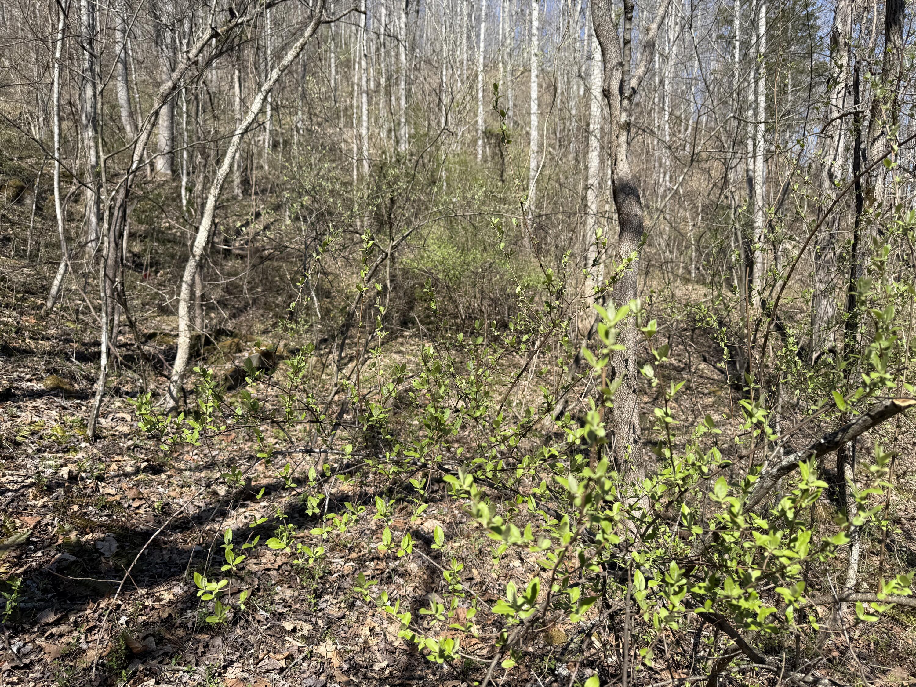 10289 Kentucky 40 Property Photo 1