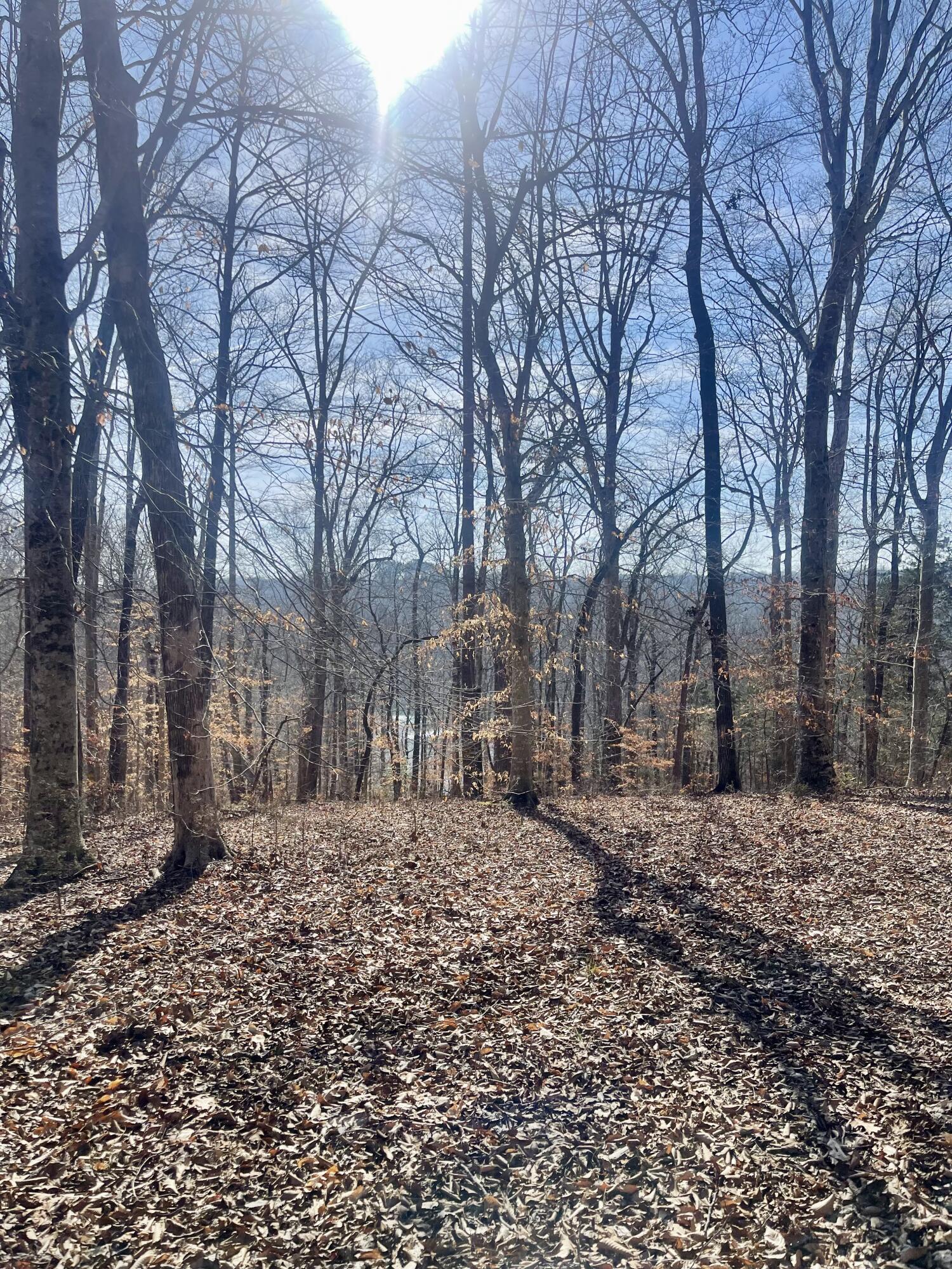 Lot 39 Captains Point Property Photo 3