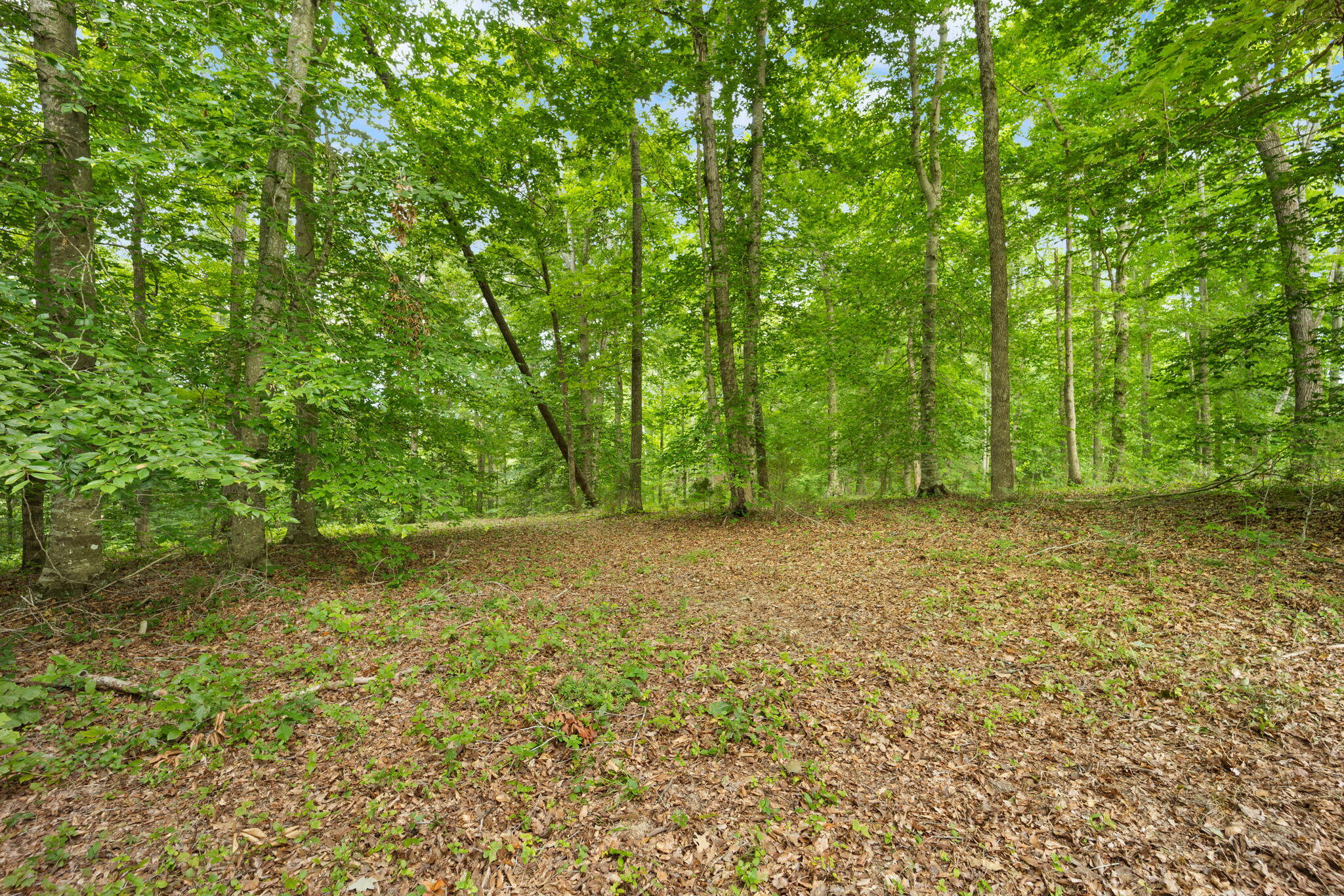 Lot 39 Captains Point Property Photo 4