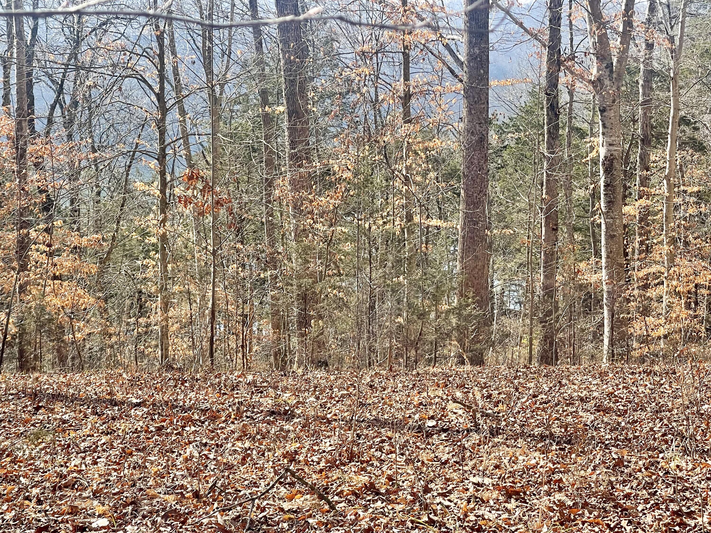 Lot 39 Captains Point Property Photo 5