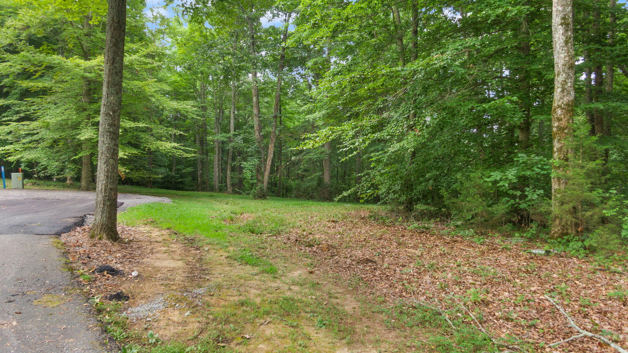 Lot 39 Captains Point Property Photo 6
