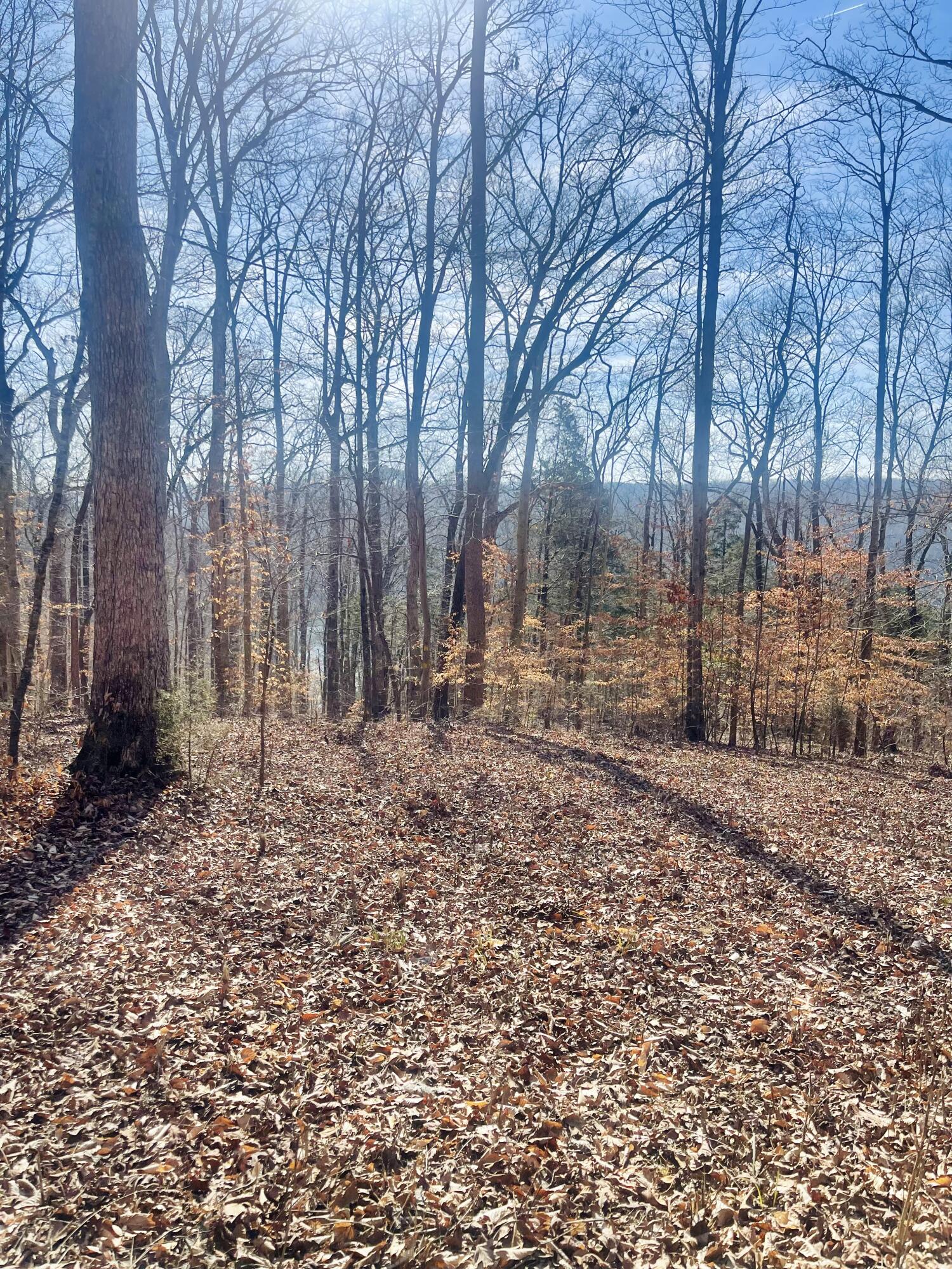 Lot 39 Captains Point Property Photo 7