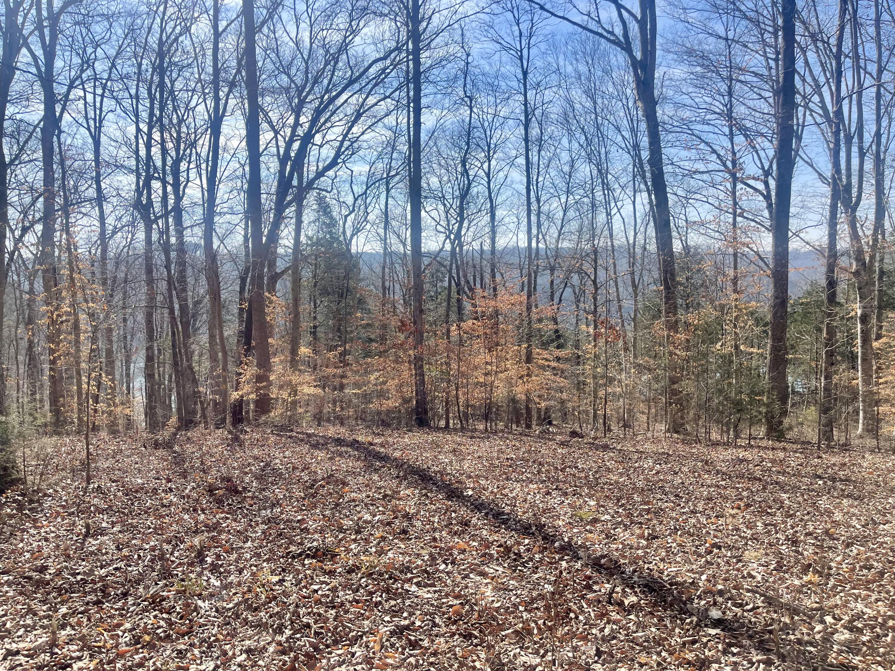 Lot 39 Captains Point Property Photo 9