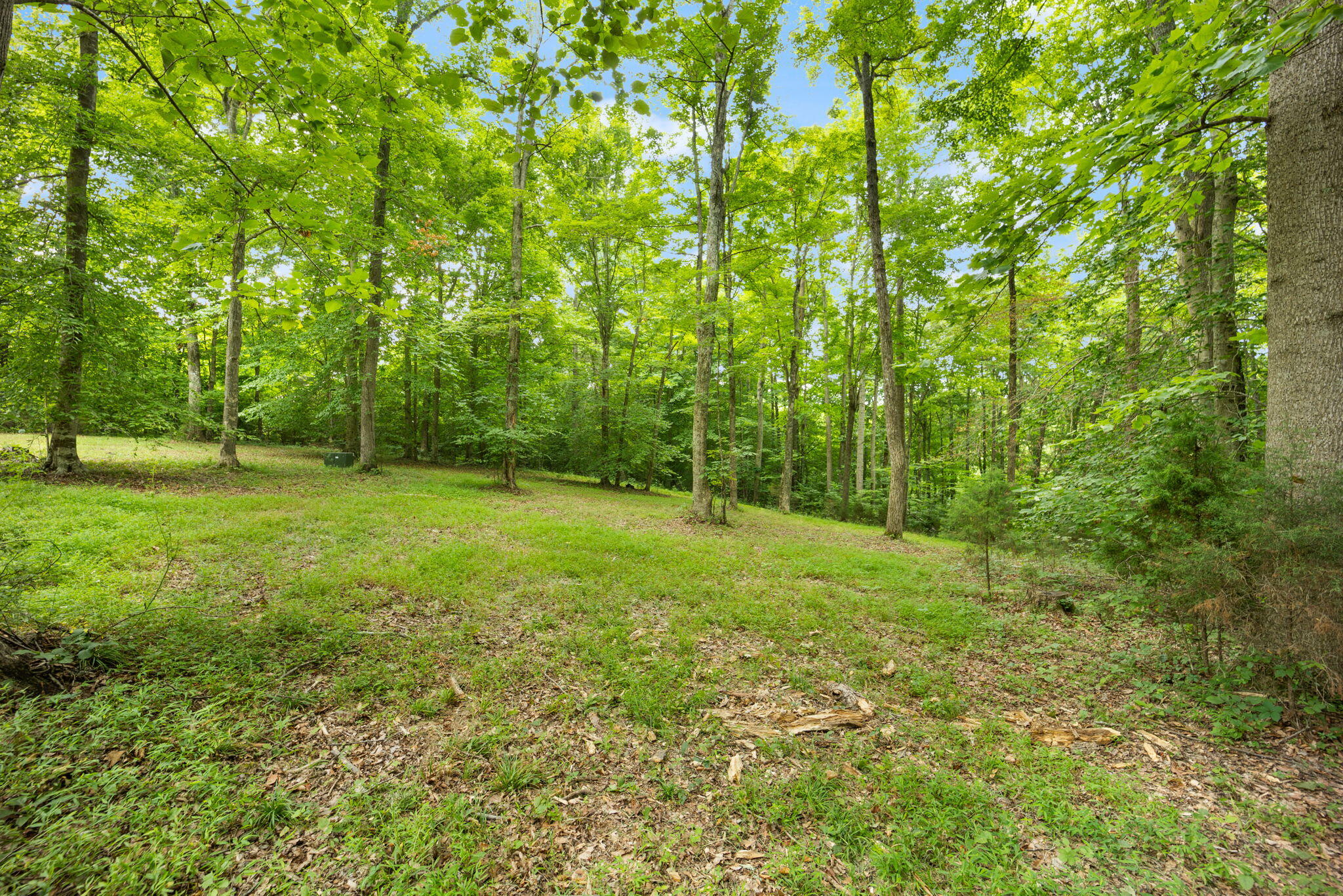 Lot 39 Captains Point Property Photo 10