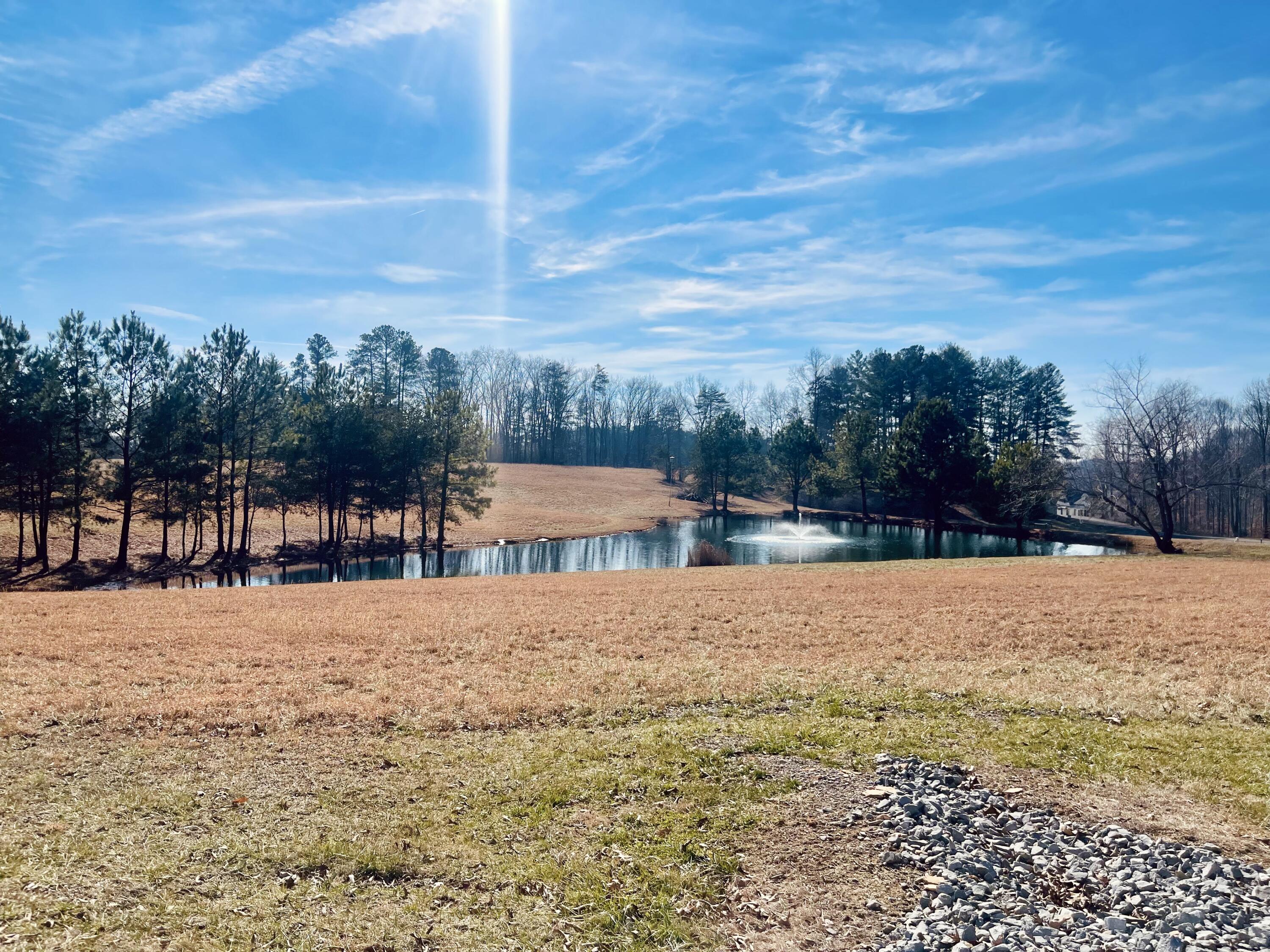 Lot 39 Captains Point Property Photo 12