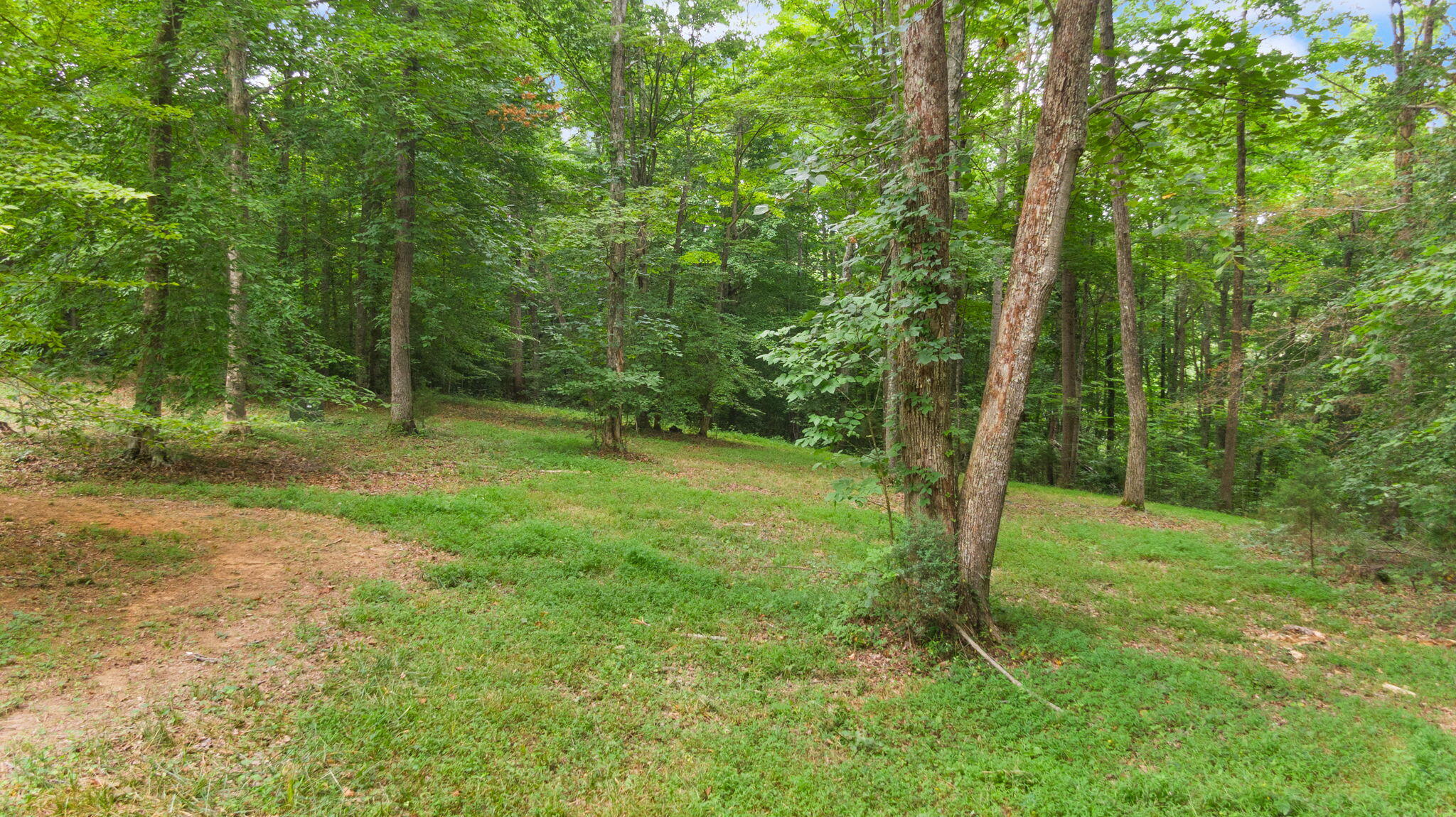 Lot 39 Captains Point Property Photo 16