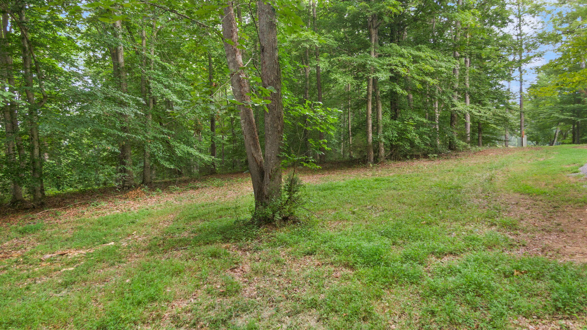 Lot 39 Captains Point Property Photo 20