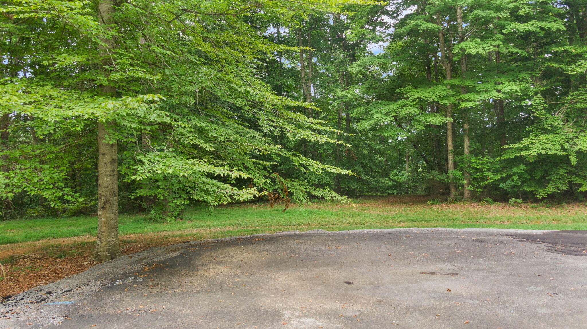 Lot 39 Captains Point Property Photo 21