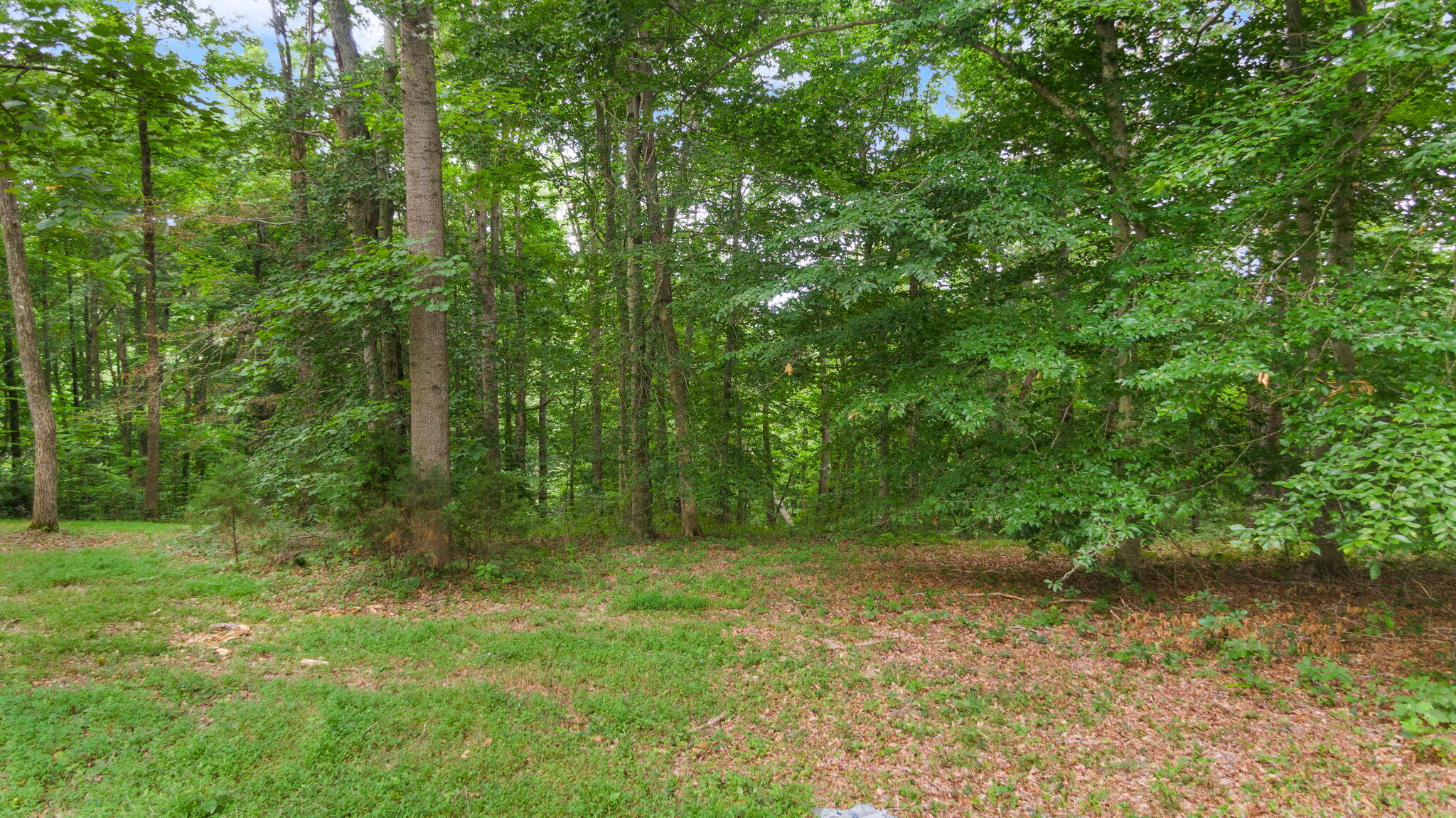 Lot 39 Captains Point Property Photo 22