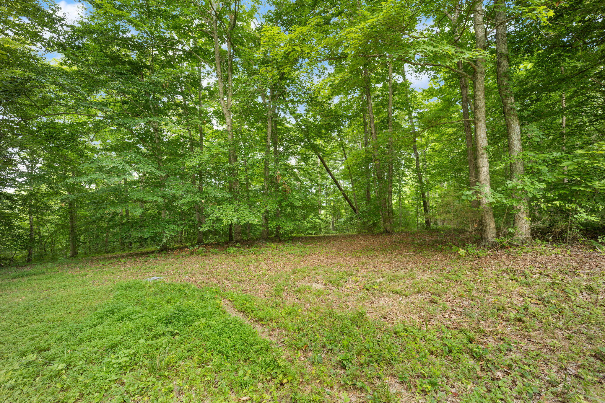 Lot 39 Captains Point Property Photo 25