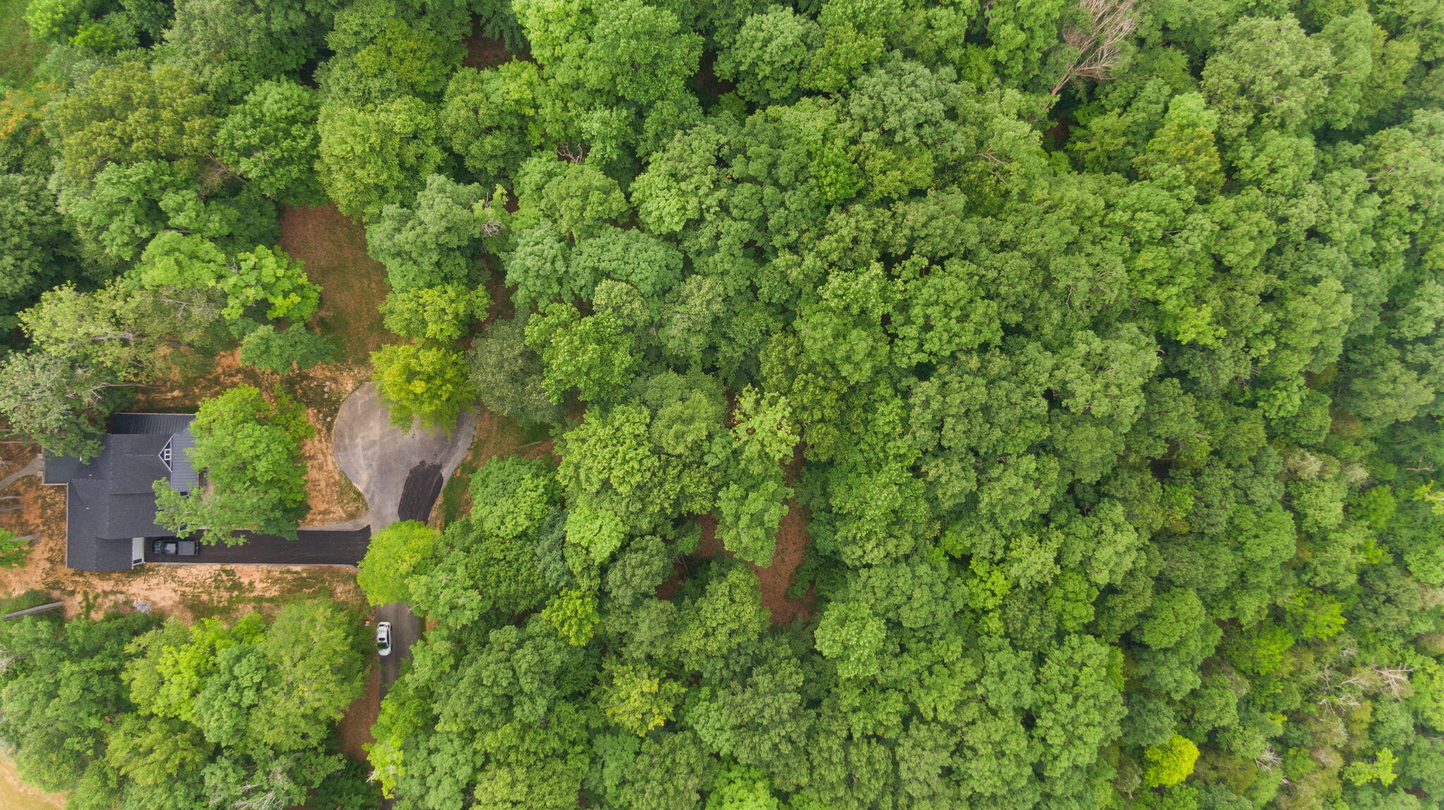 Lot 39 Captains Point Property Photo 28