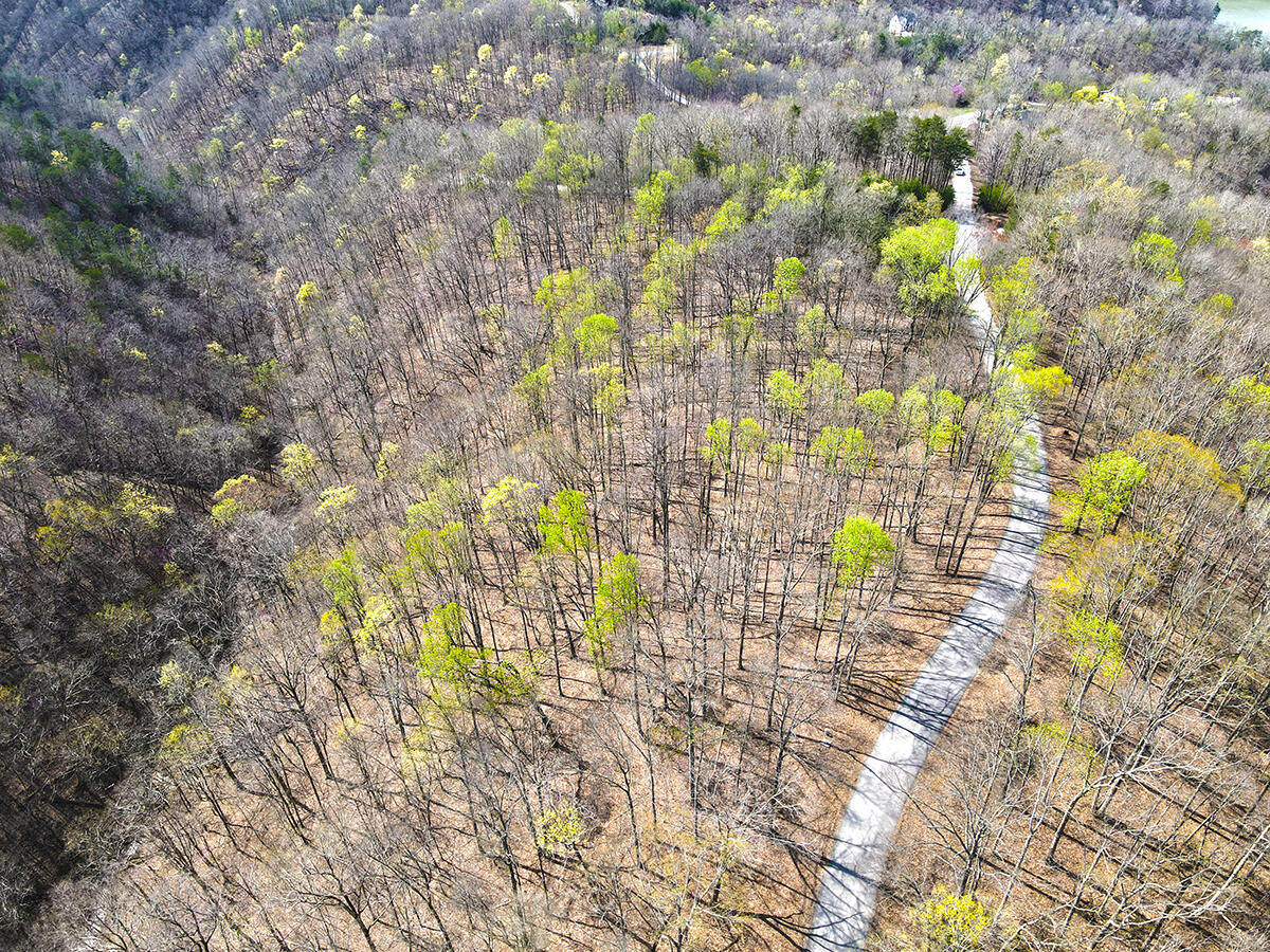 78 Sandstone Trail Property Photo 1