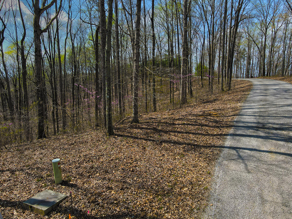 78 Sandstone Trail Property Photo 2