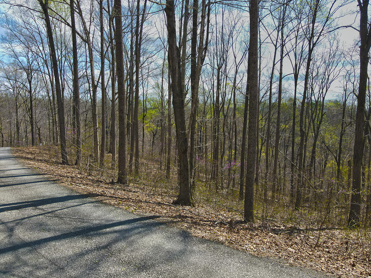 78 Sandstone Trail Property Photo 3