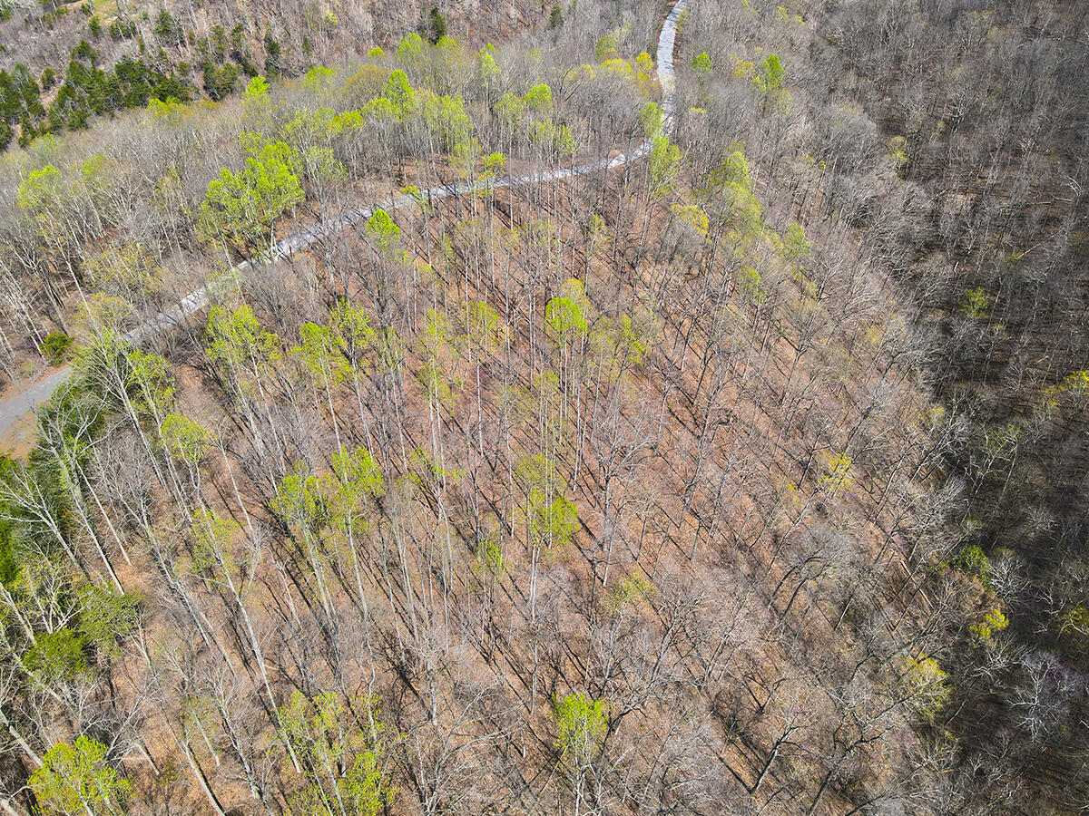 78 Sandstone Trail Property Photo 4
