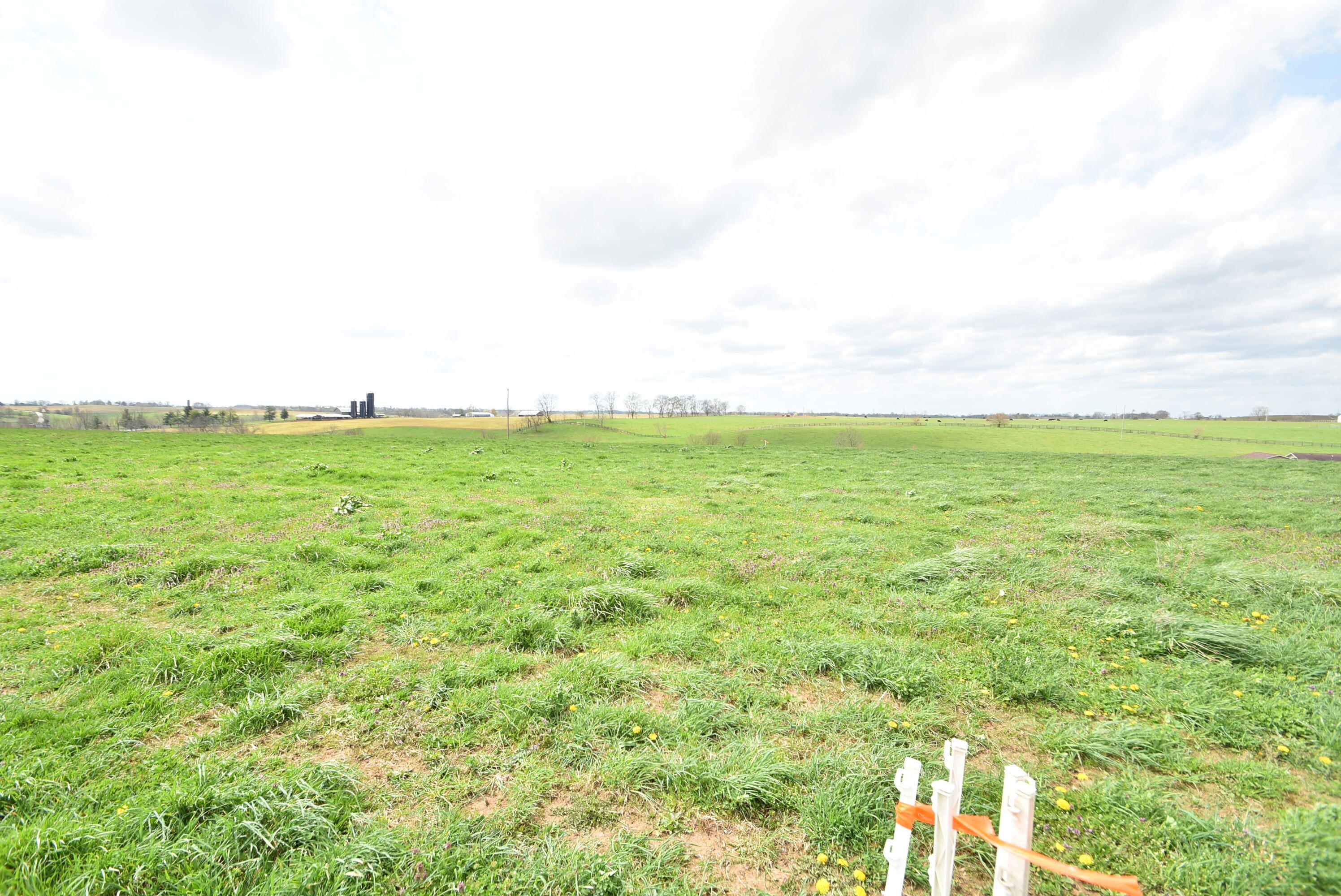 1121 Curry Pike Property Photo 1