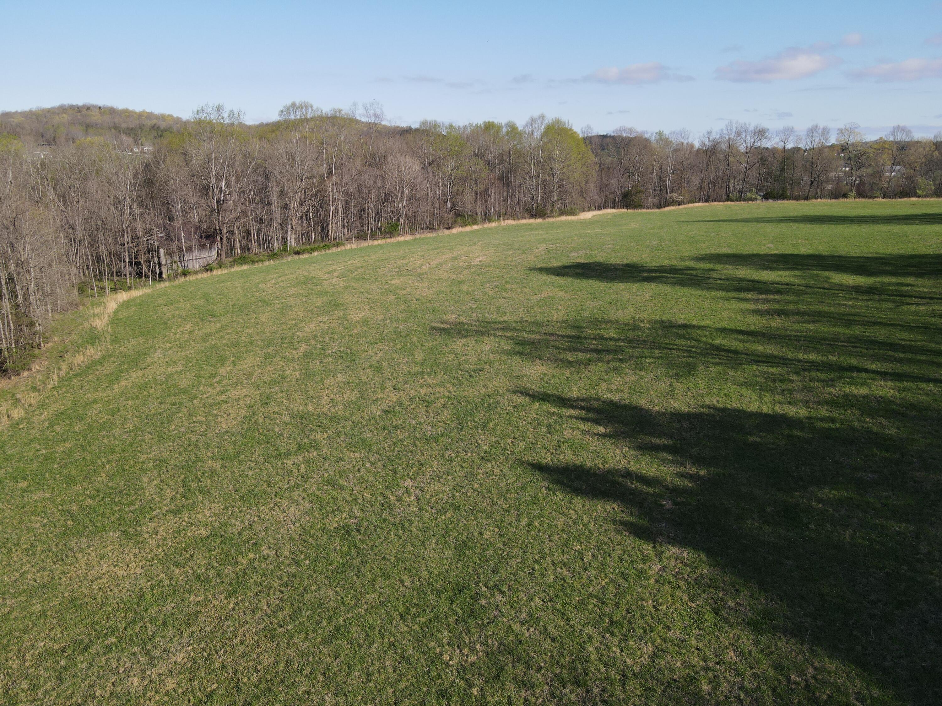 999 Spiro Road Property Photo 10
