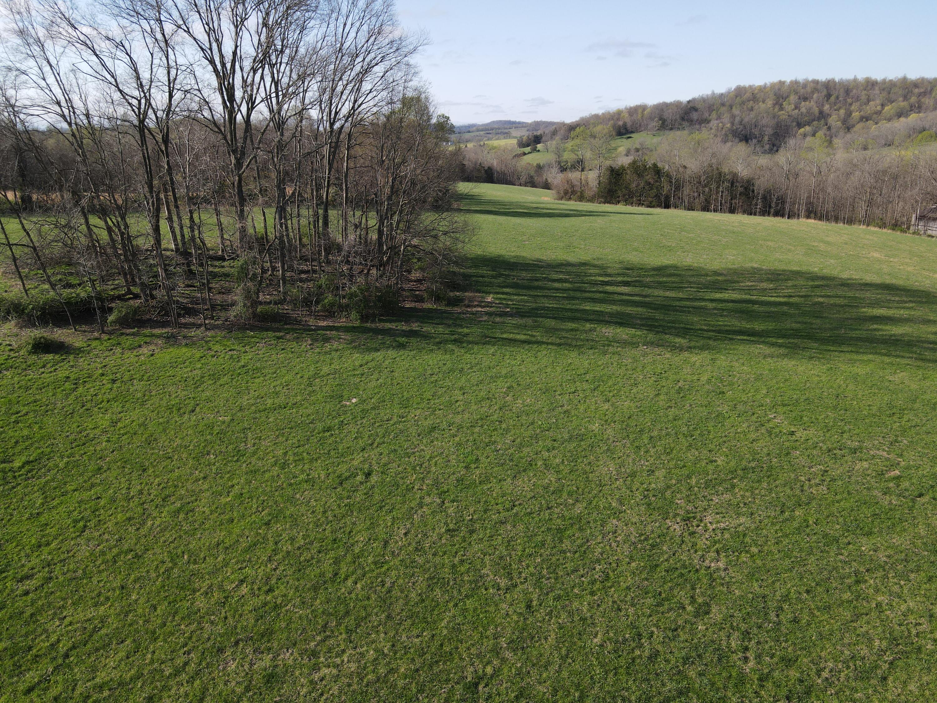 999 Spiro Road Property Photo 15