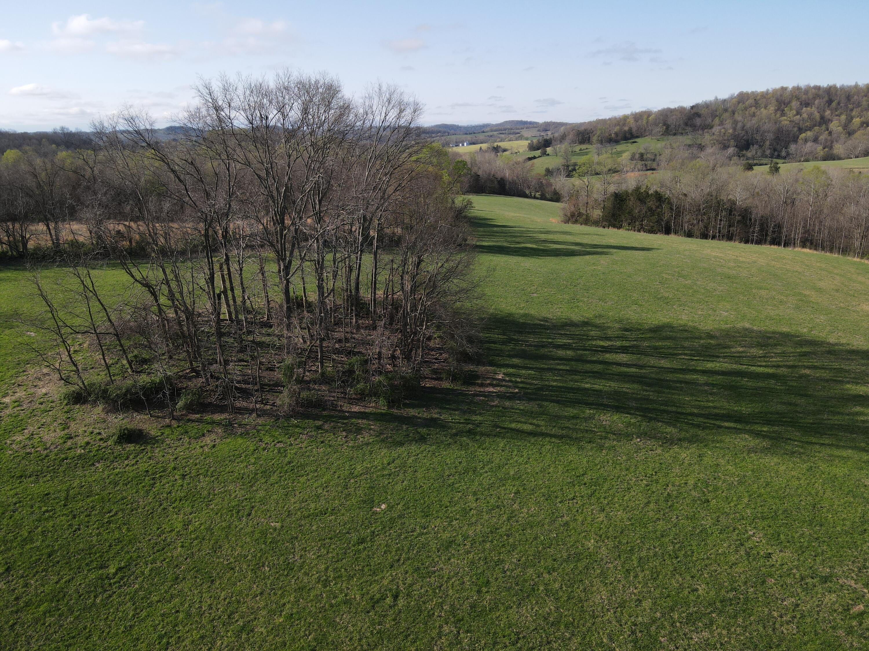 999 Spiro Road Property Photo 18