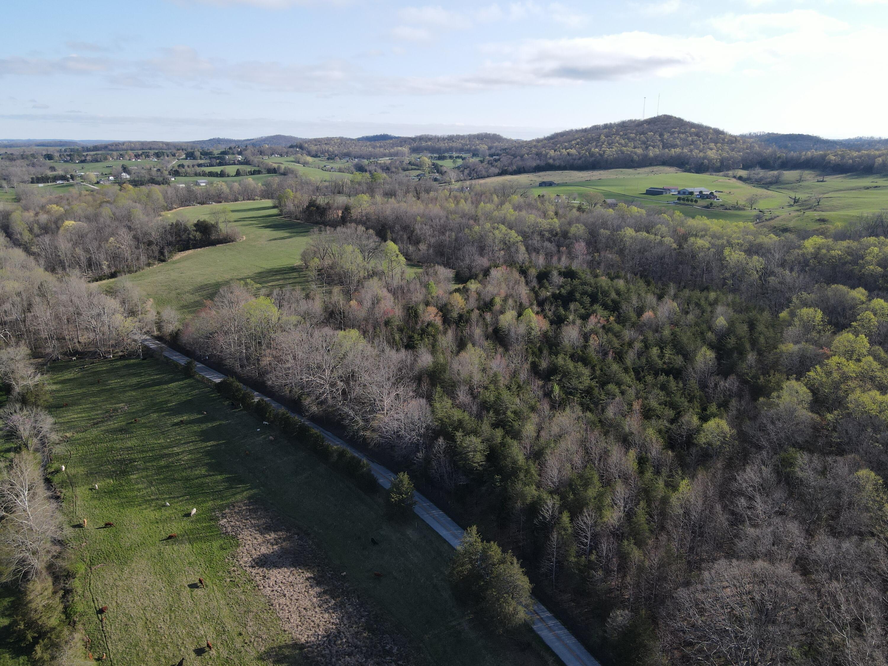 999 Spiro Road Property Photo 21
