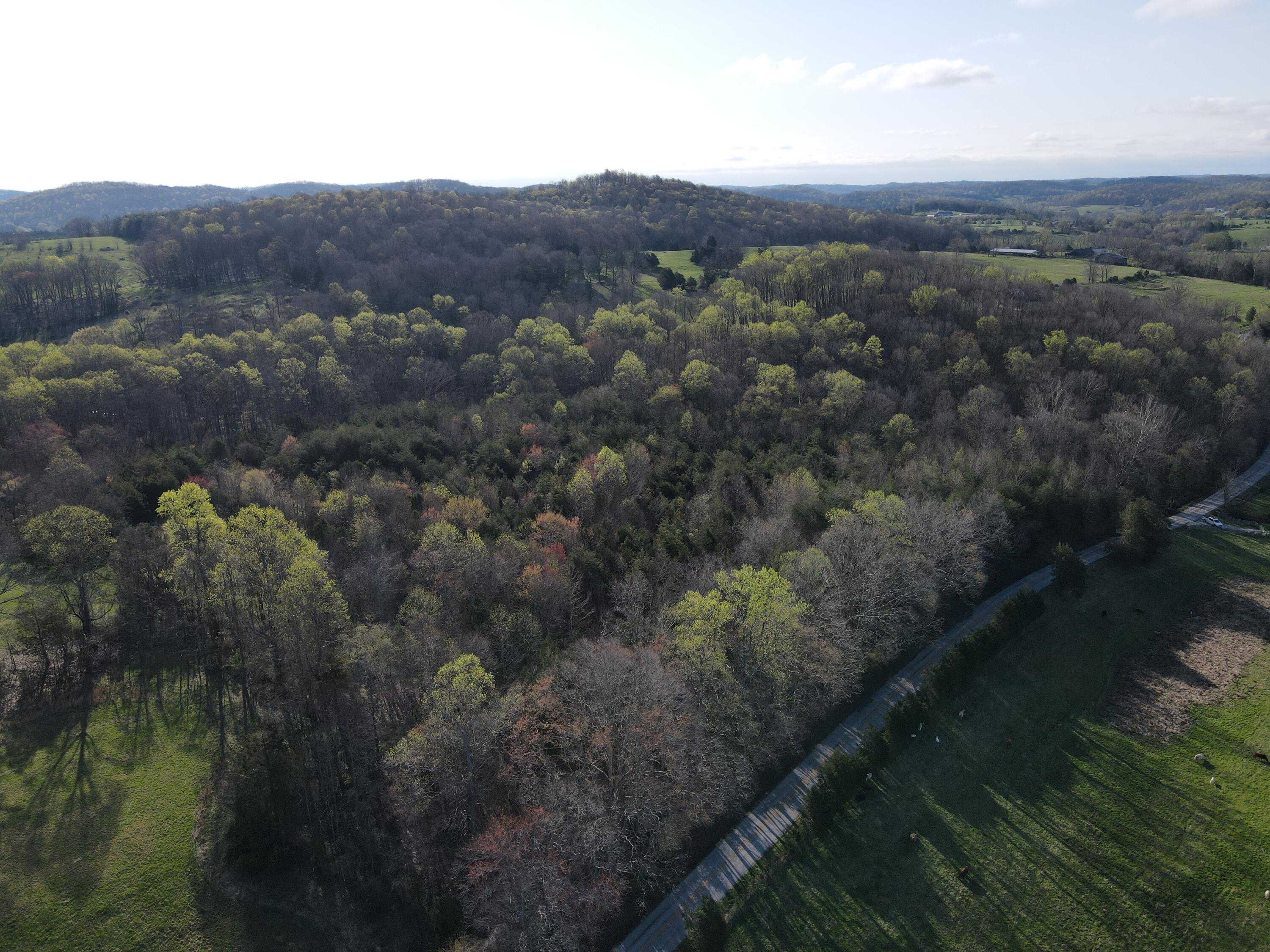 999 Spiro Road Property Photo 22