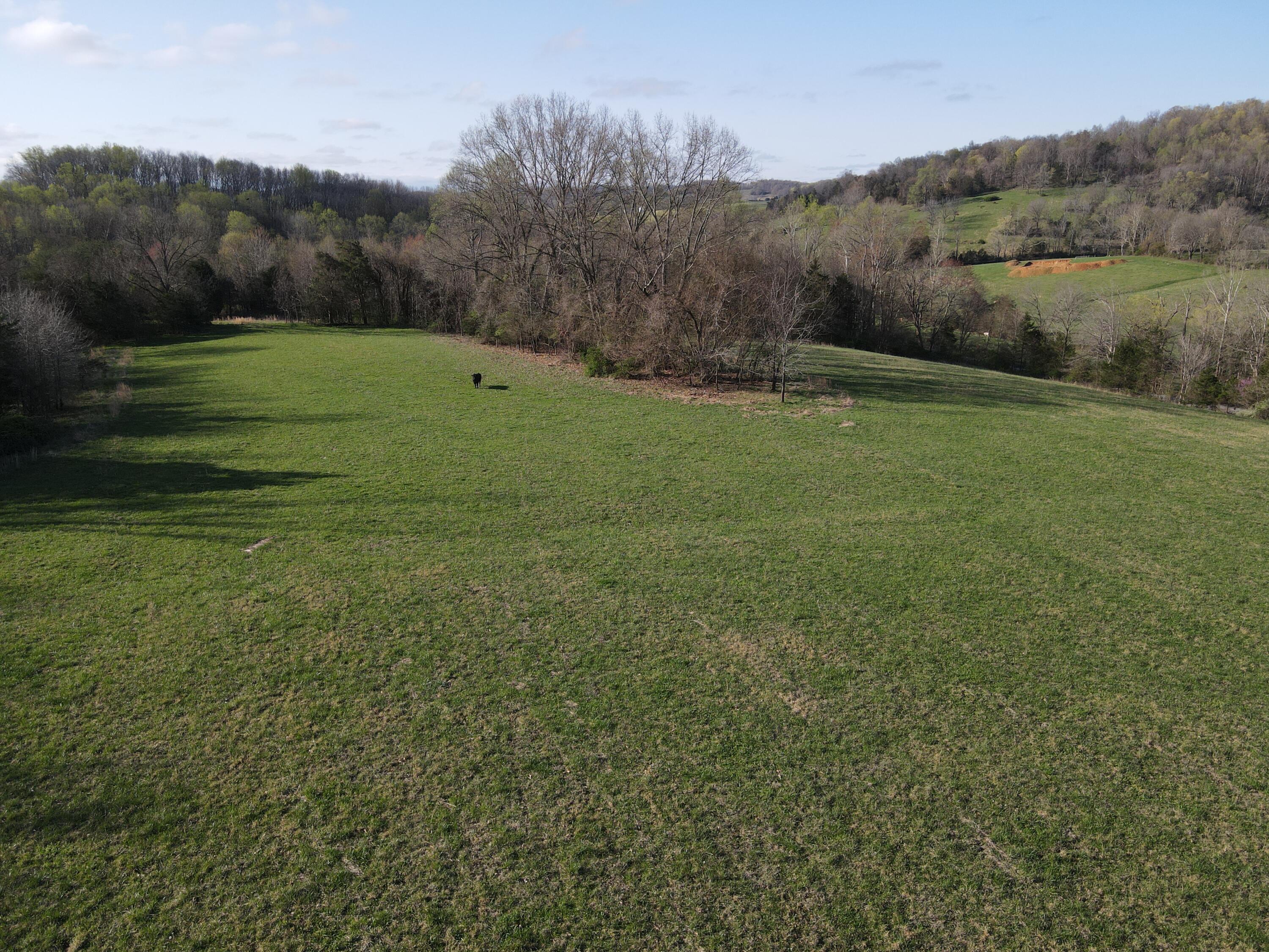 999-a Spiro Road Property Photo 6