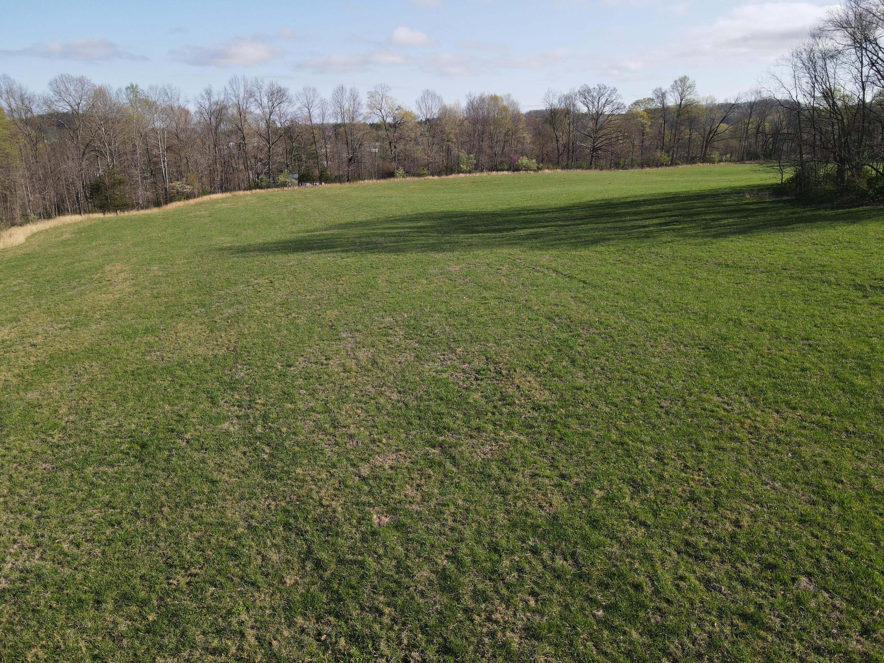 999-a Spiro Road Property Photo 8