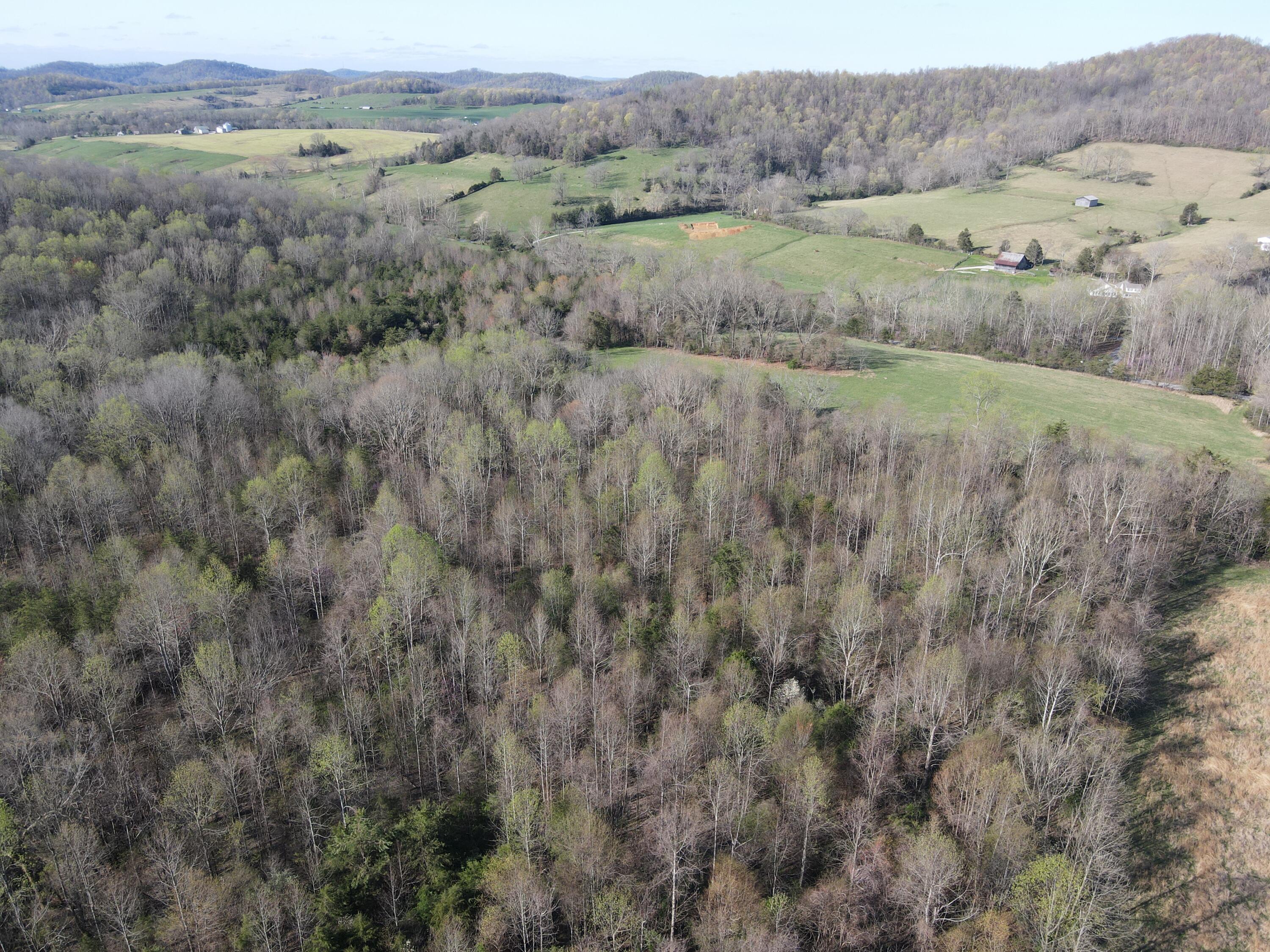 999-b Spiro Road Property Photo 3