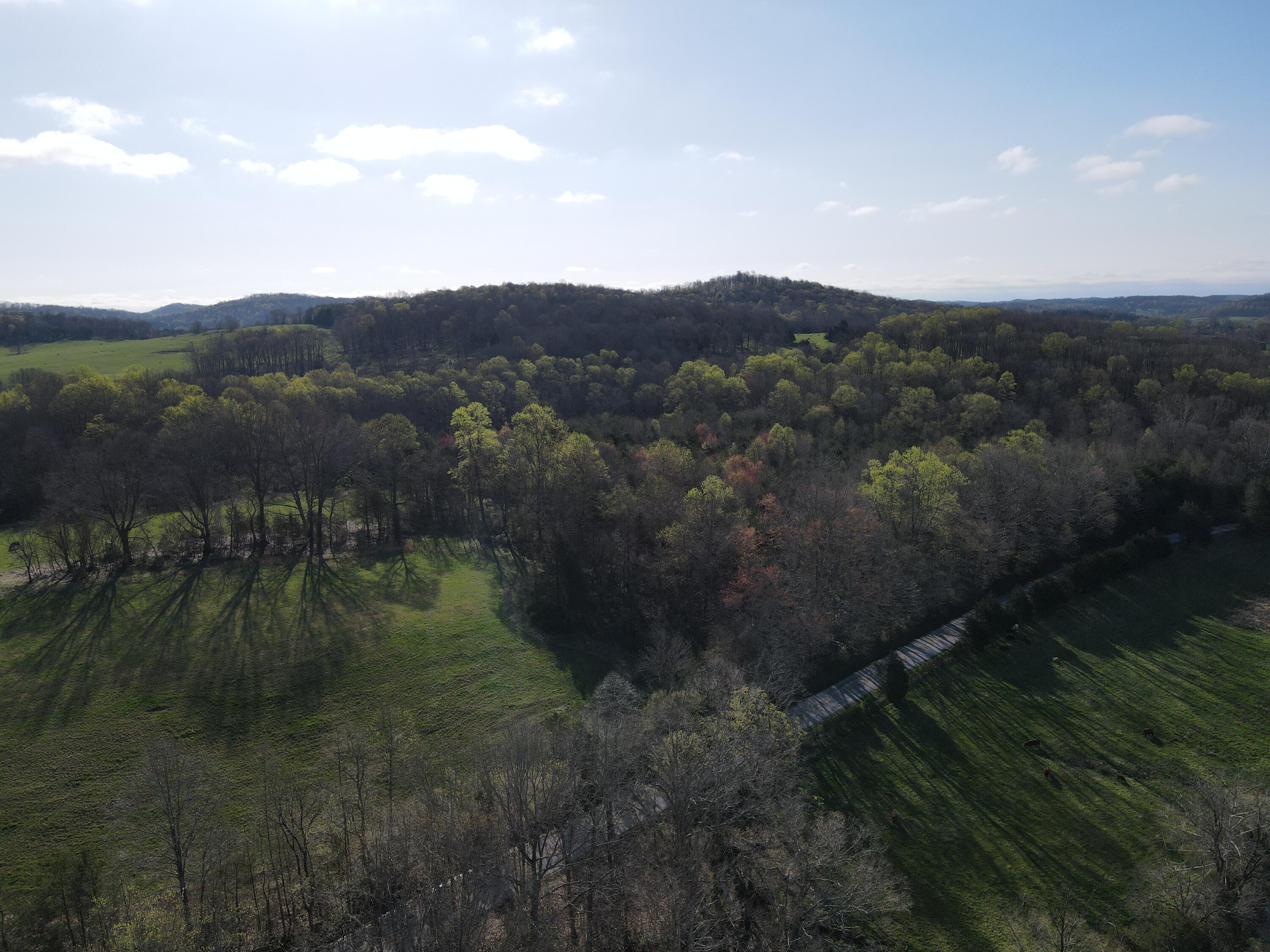 999-b Spiro Road Property Photo 4