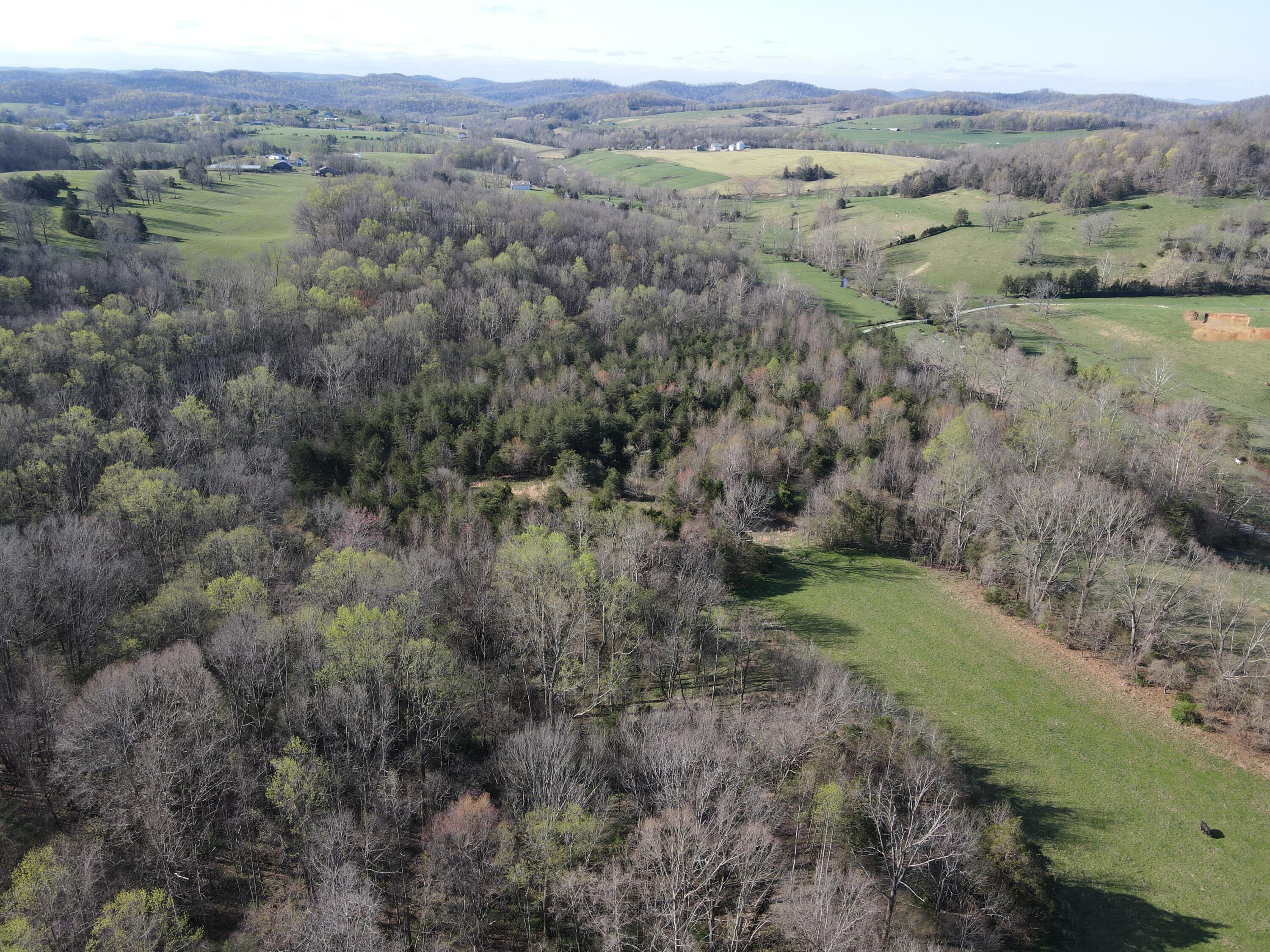 999-b Spiro Road Property Photo 6