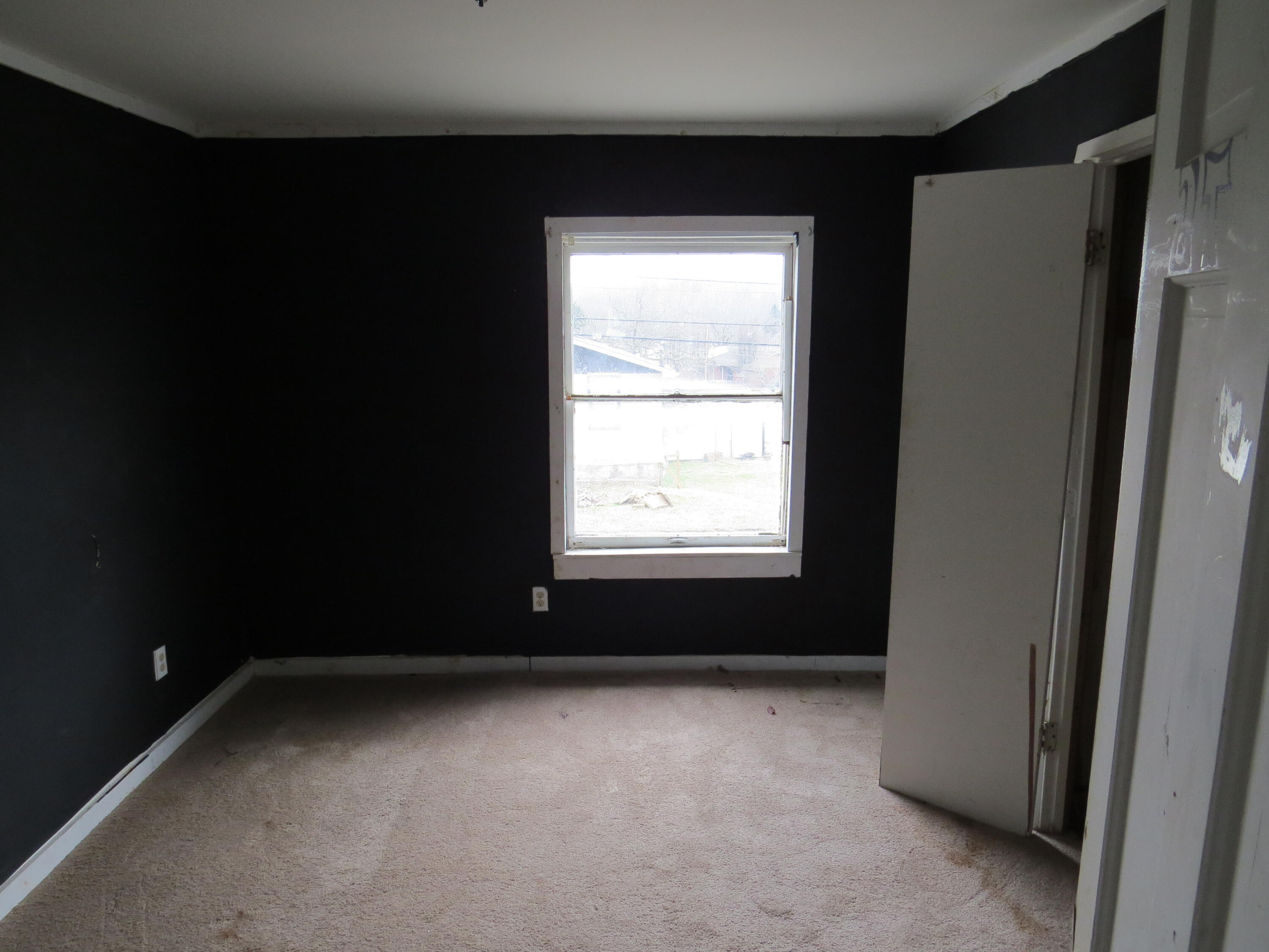 627 Pitzer Street Property Photo 18