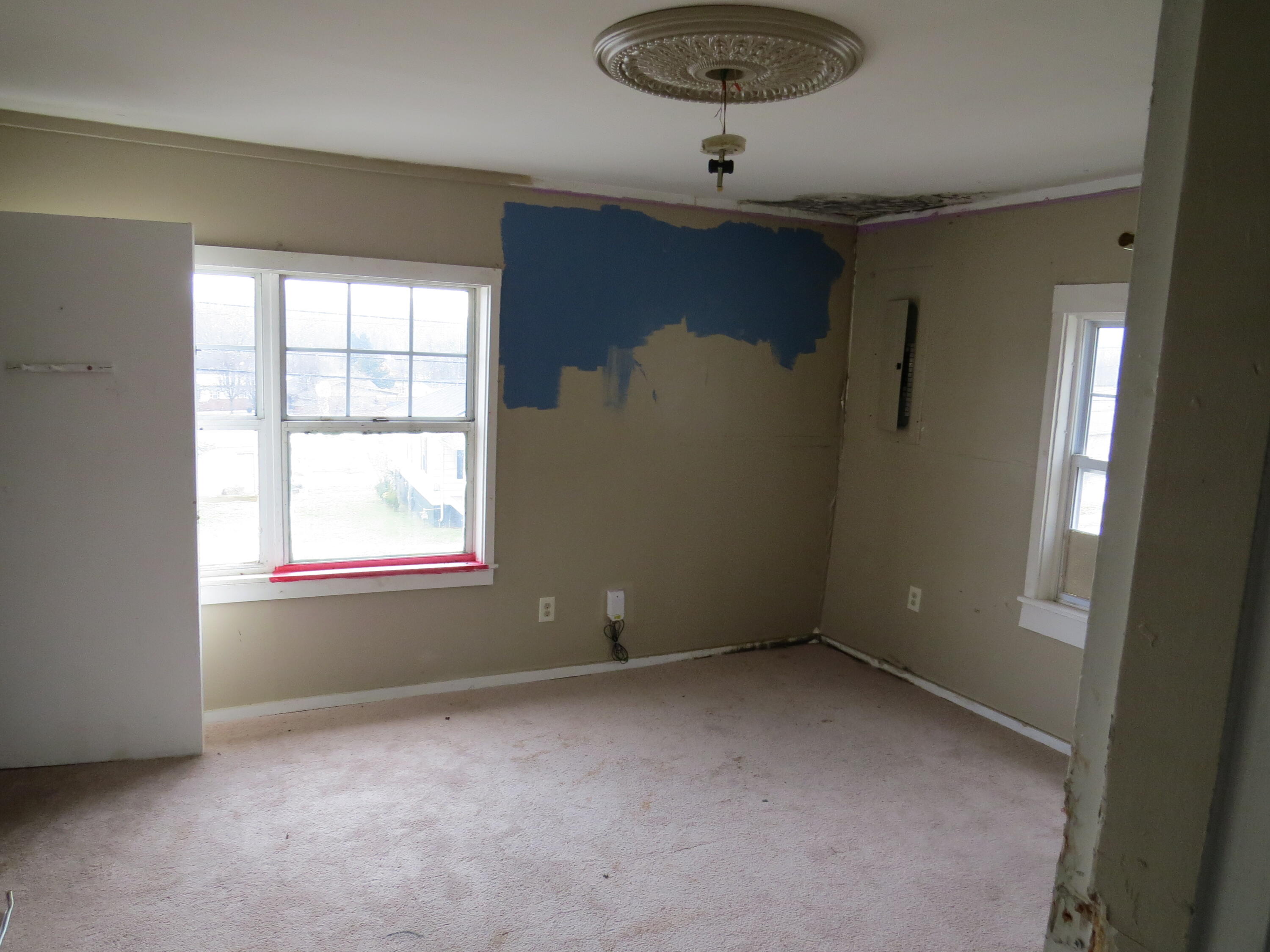 627 Pitzer Street Property Photo 19