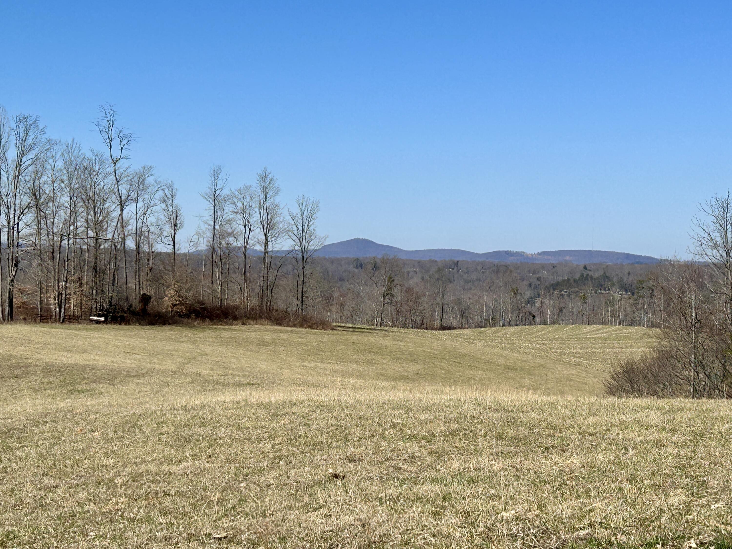 2905 Beech Grove Road Property Photo 1