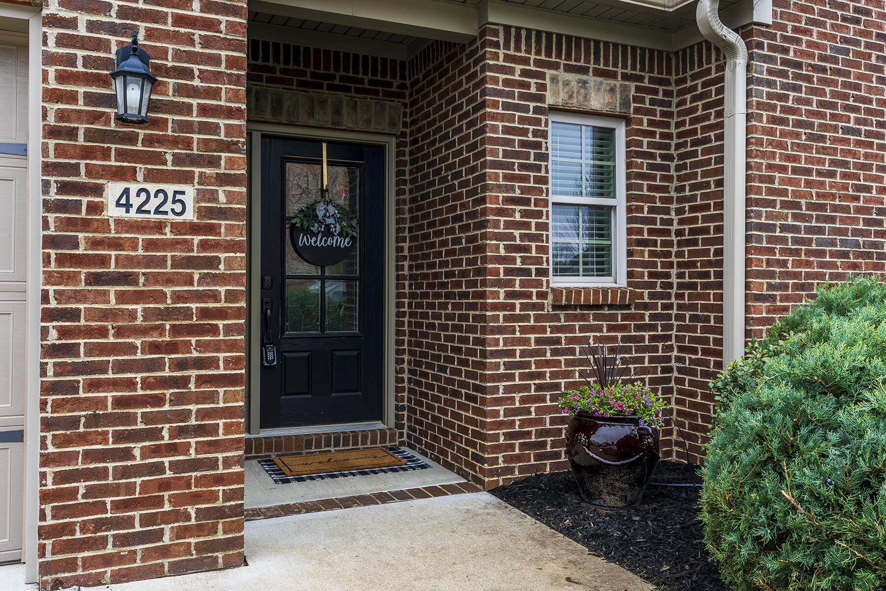 4225 Starrush Place Property Photo 4
