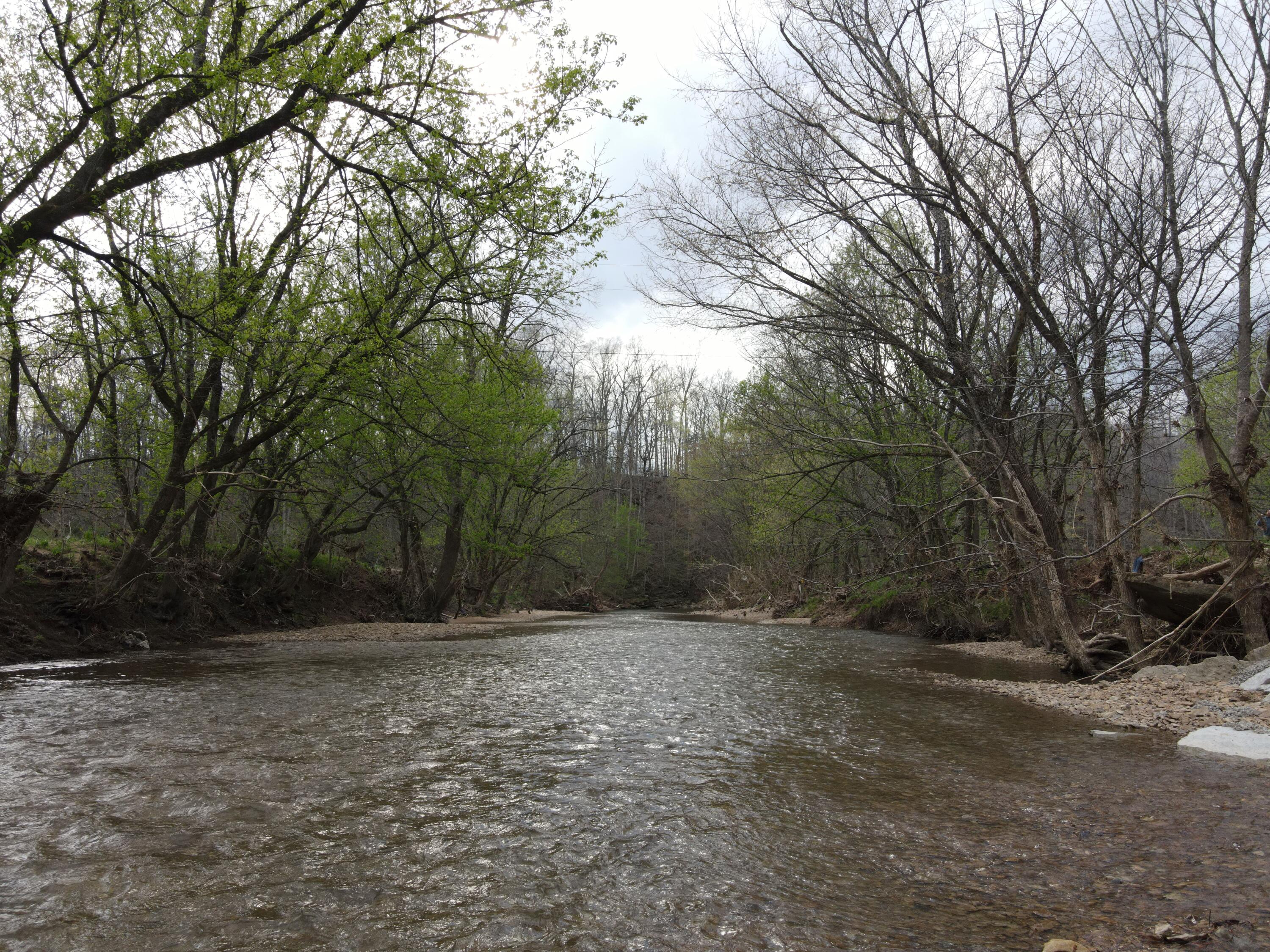 667 Troutstream Road Property Photo 3